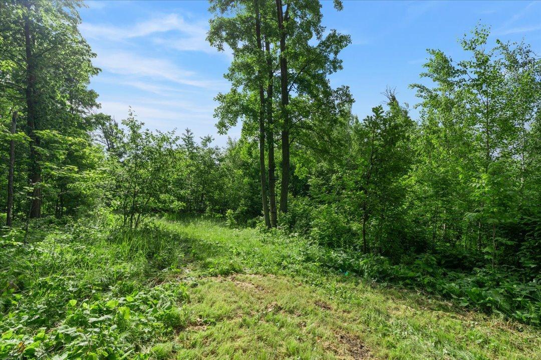 4604 State 371 Nw Property Photo 42