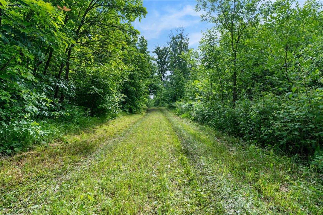 4604 State 371 Nw Property Photo 43