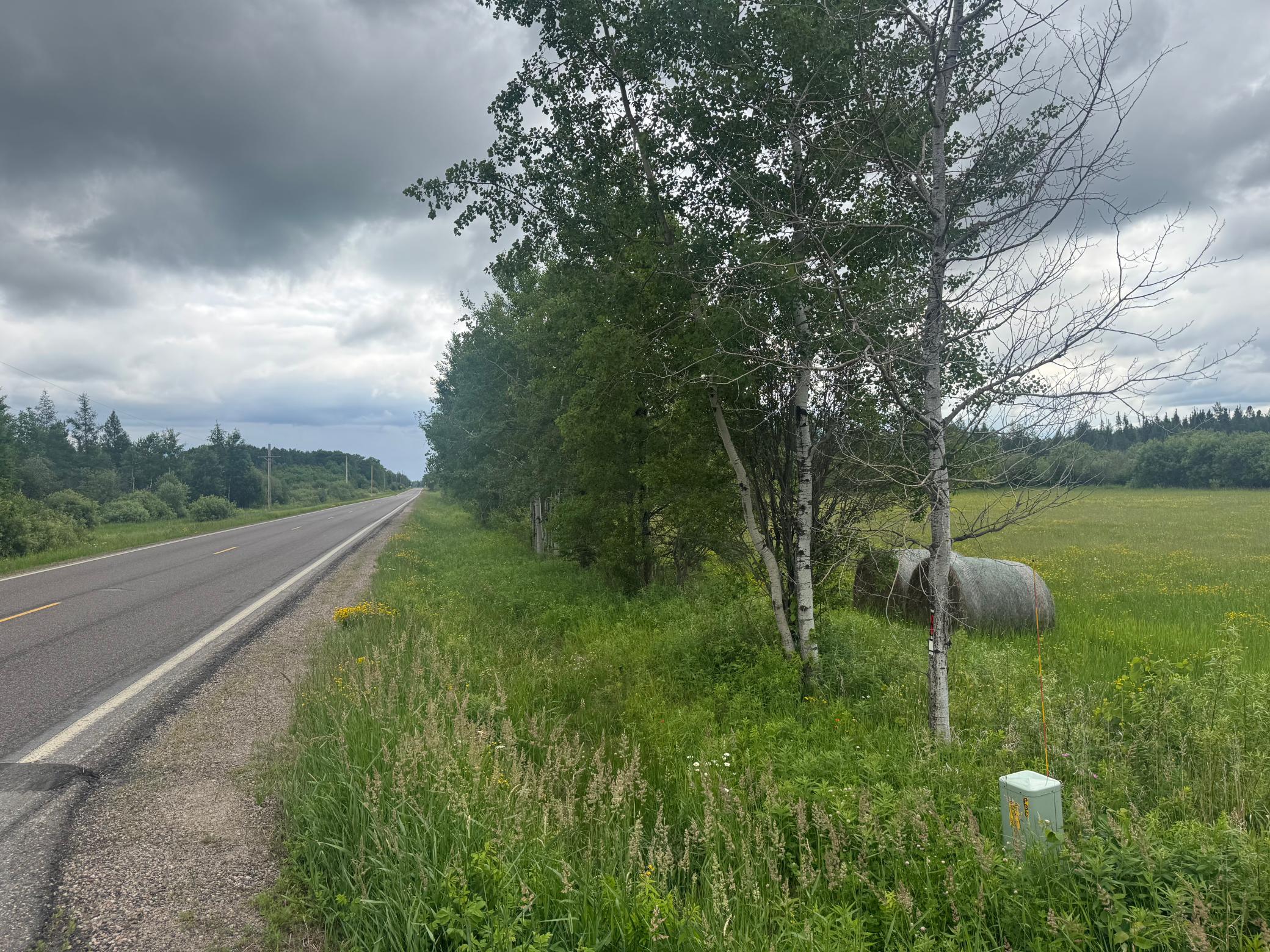 Tbd Townline Road Property Photo 4