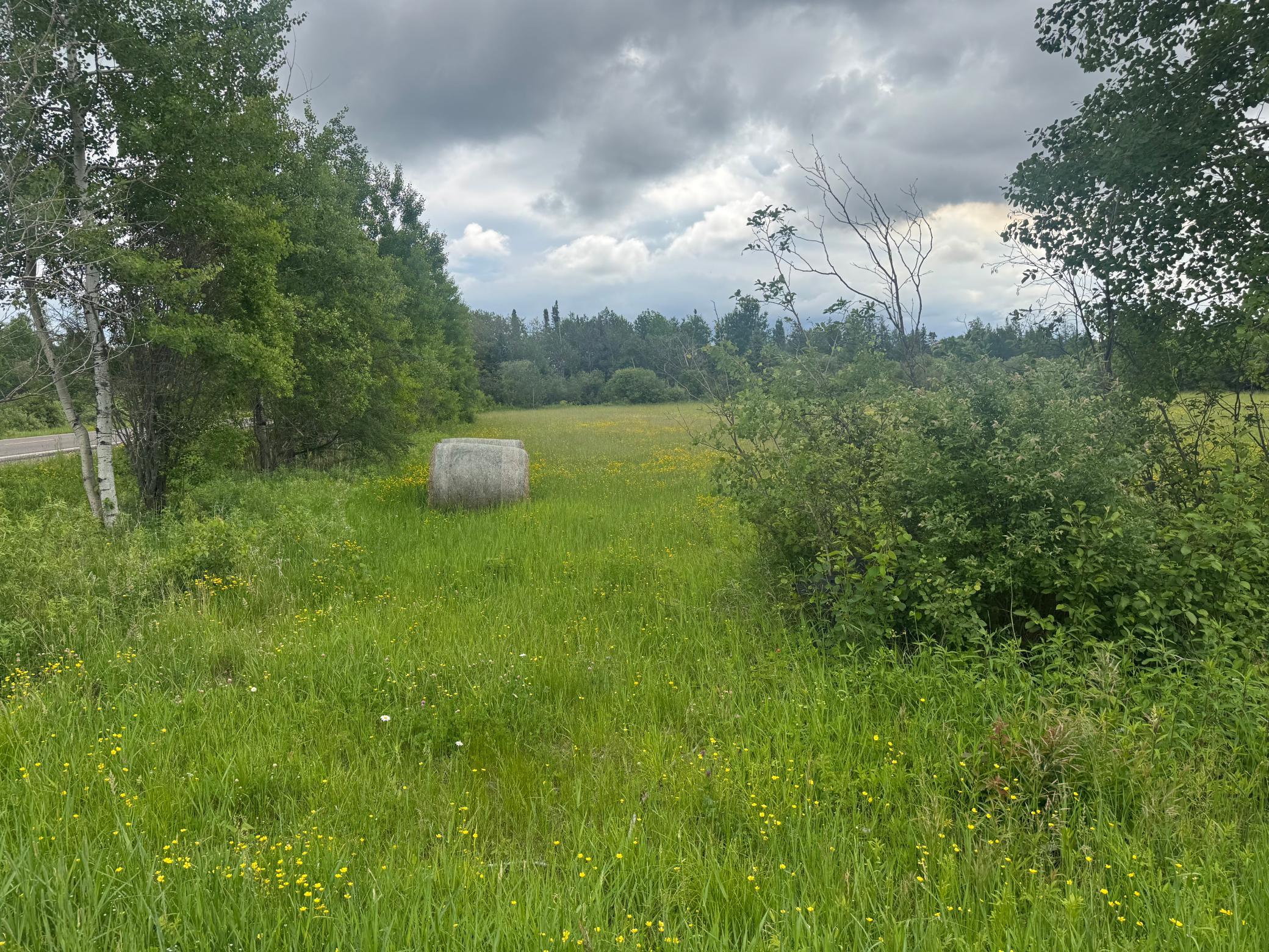 Tbd Townline Road Property Photo 5
