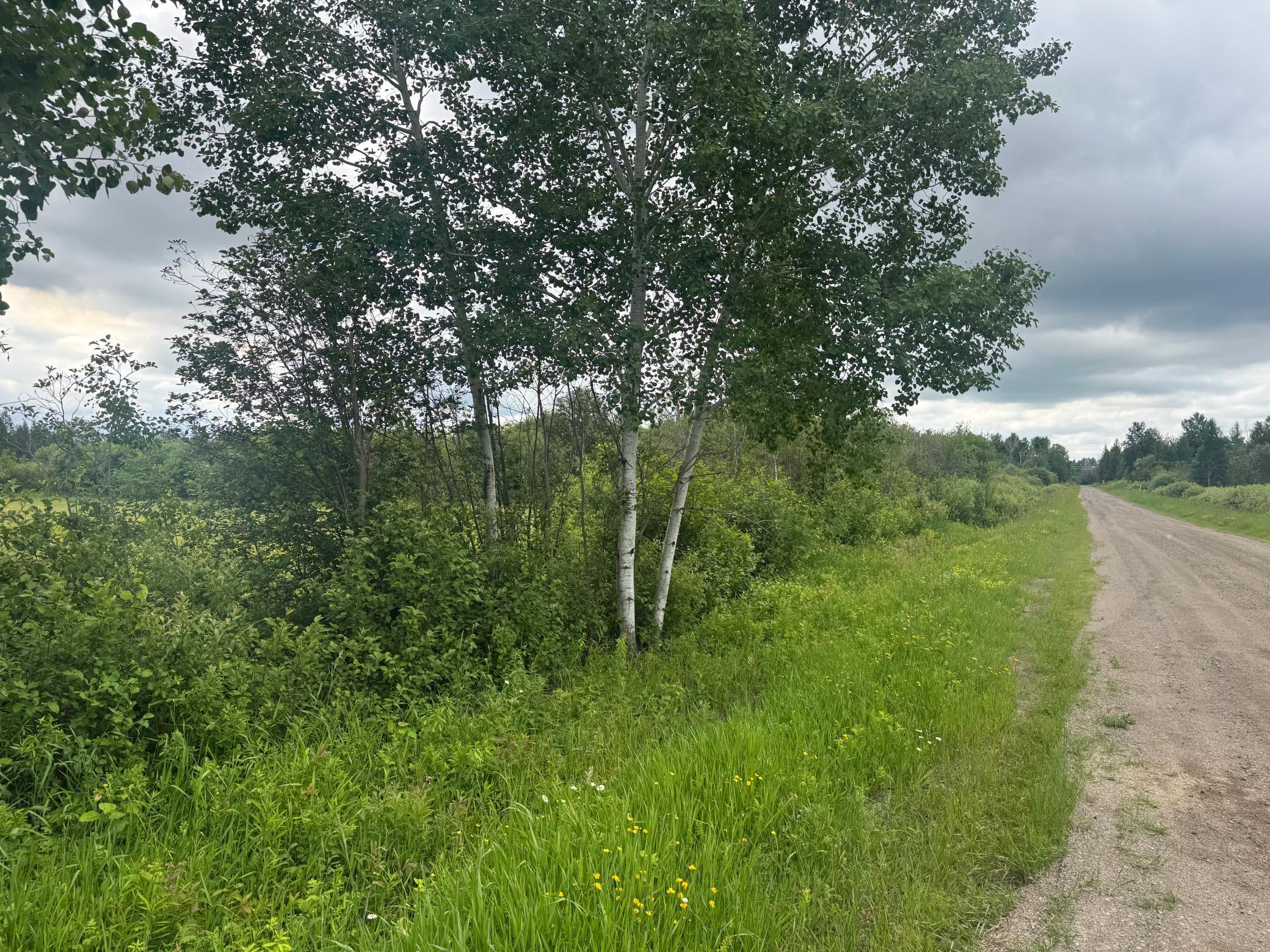 Tbd Townline Road Property Photo 6