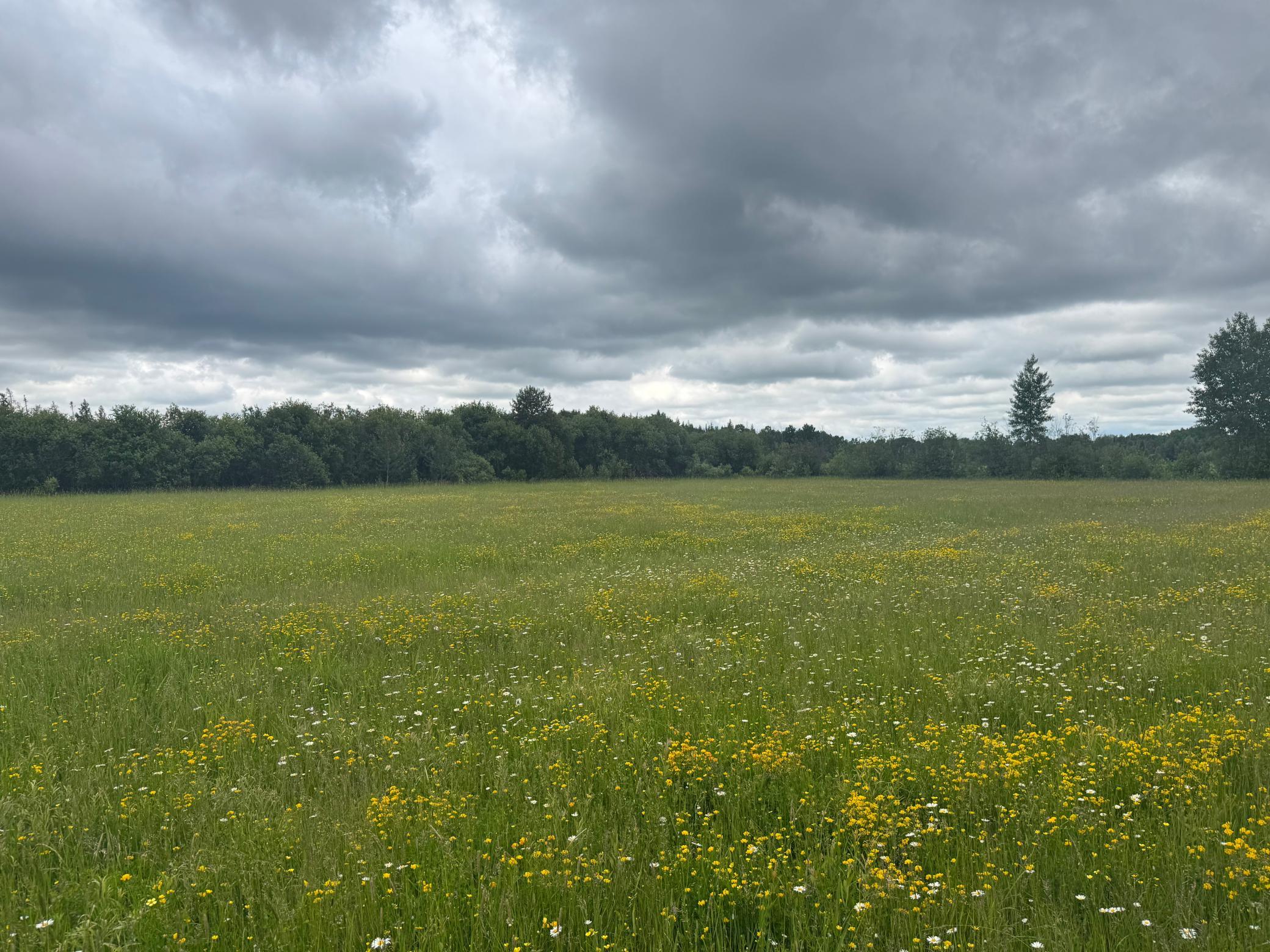 Tbd Townline Road Property Photo 7