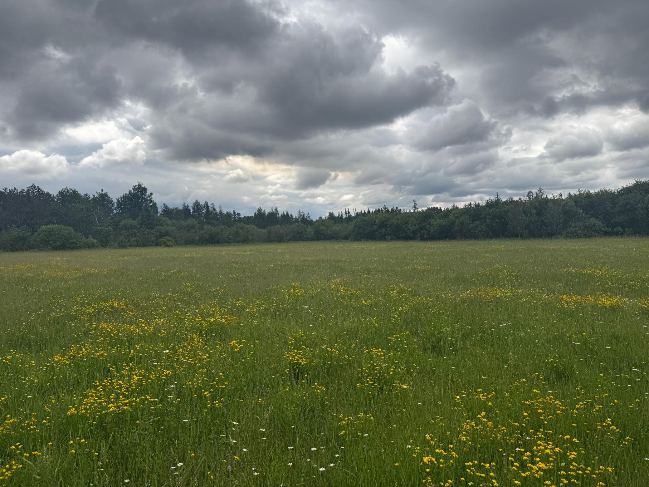 Tbd Townline Road Property Photo 8