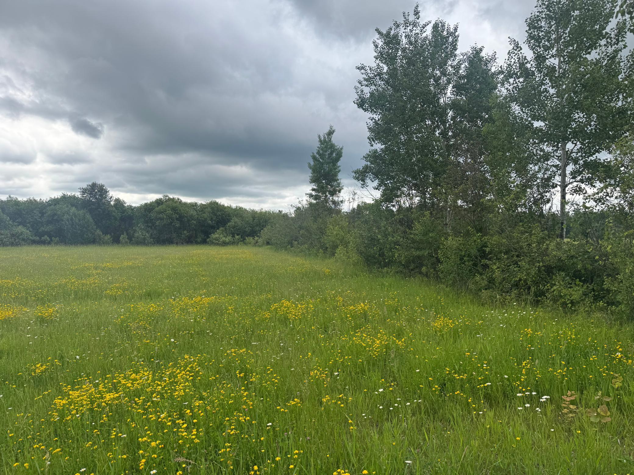 Tbd Townline Road Property Photo 9