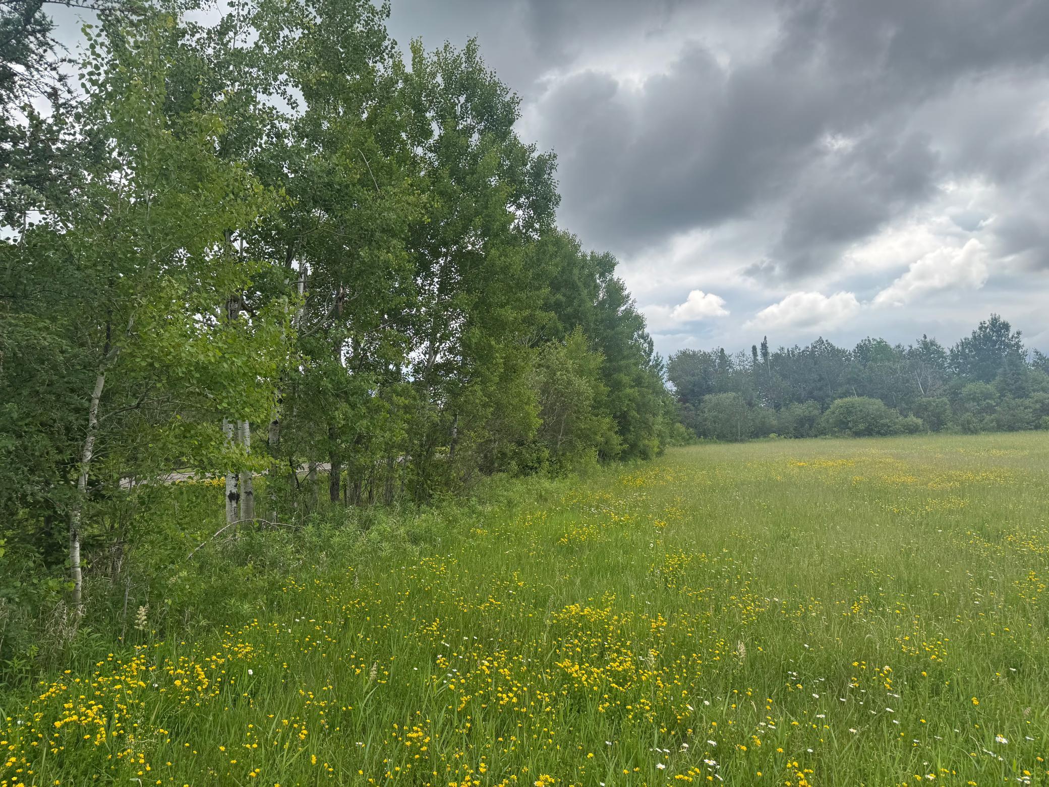 Tbd Townline Road Property Photo 10