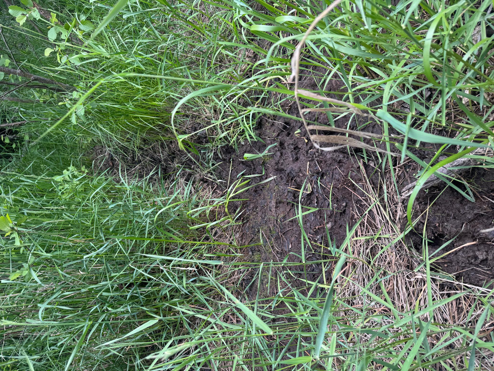 Tbd Townline Road Property Photo 11