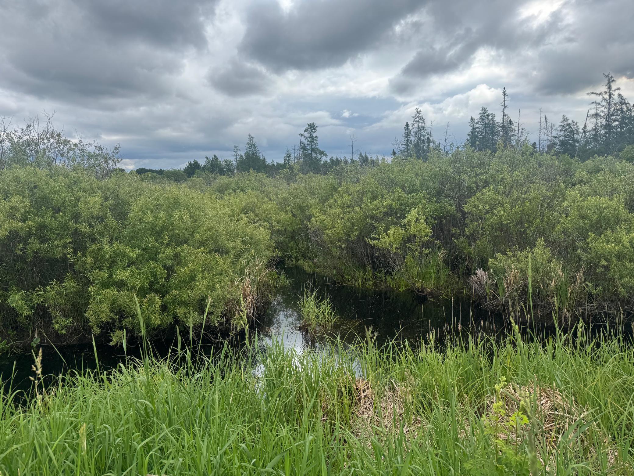 Tbd Townline Road Property Photo 12
