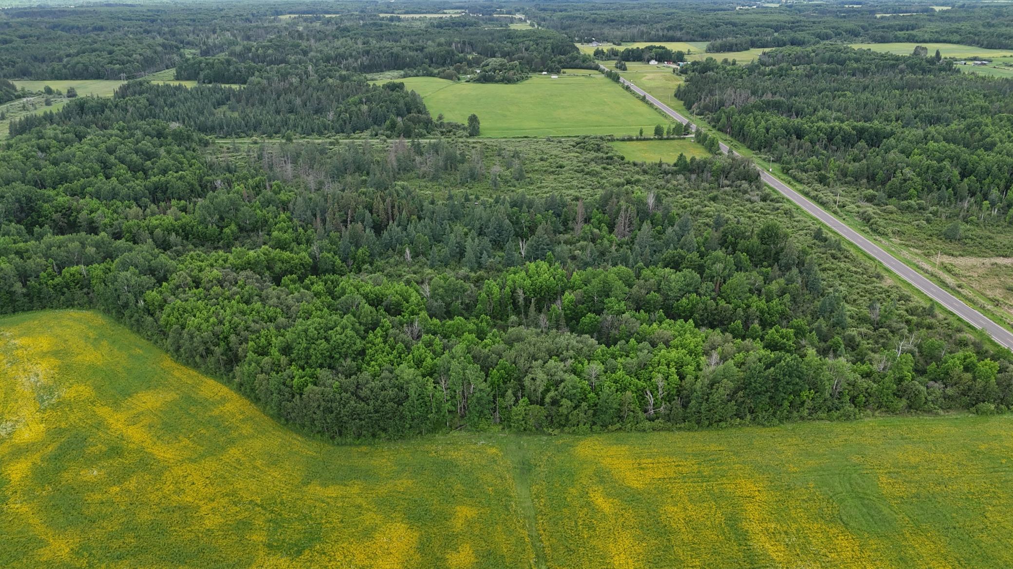 Tbd Townline Road Property Photo 13
