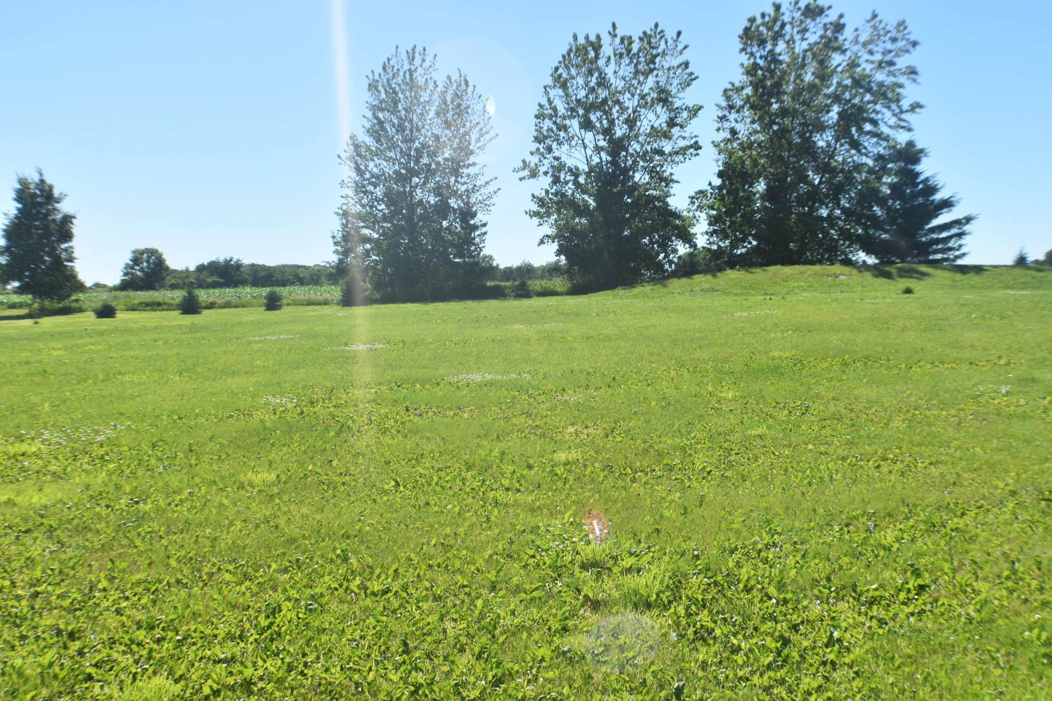 1342 Calvary Road Se Property Photo 4