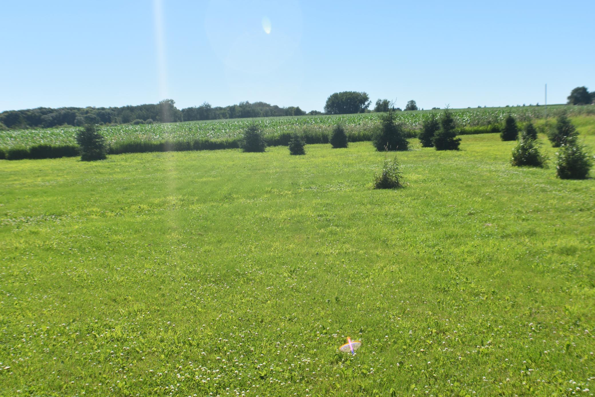 1342 Calvary Road Se Property Photo 5