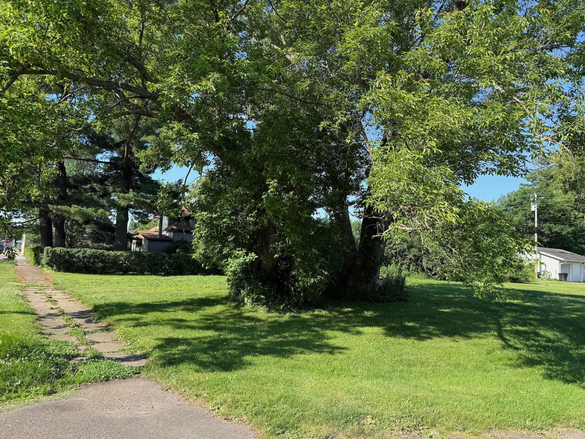 105 Pine Street N Property Photo 3