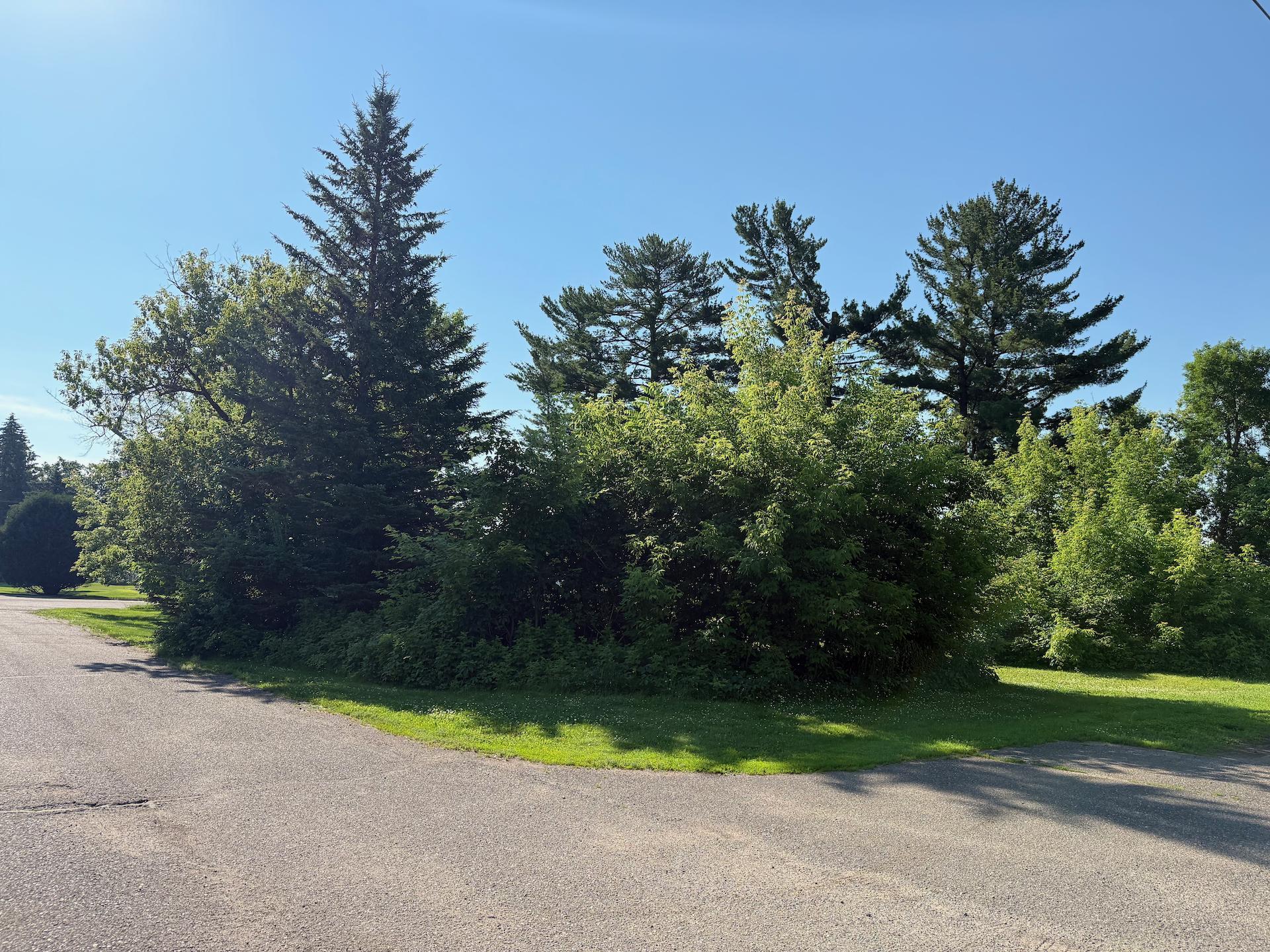 105 Pine Street N Property Photo 10