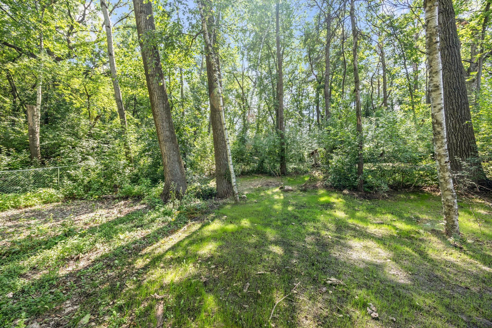 3633 Windtree Drive Property Photo 49