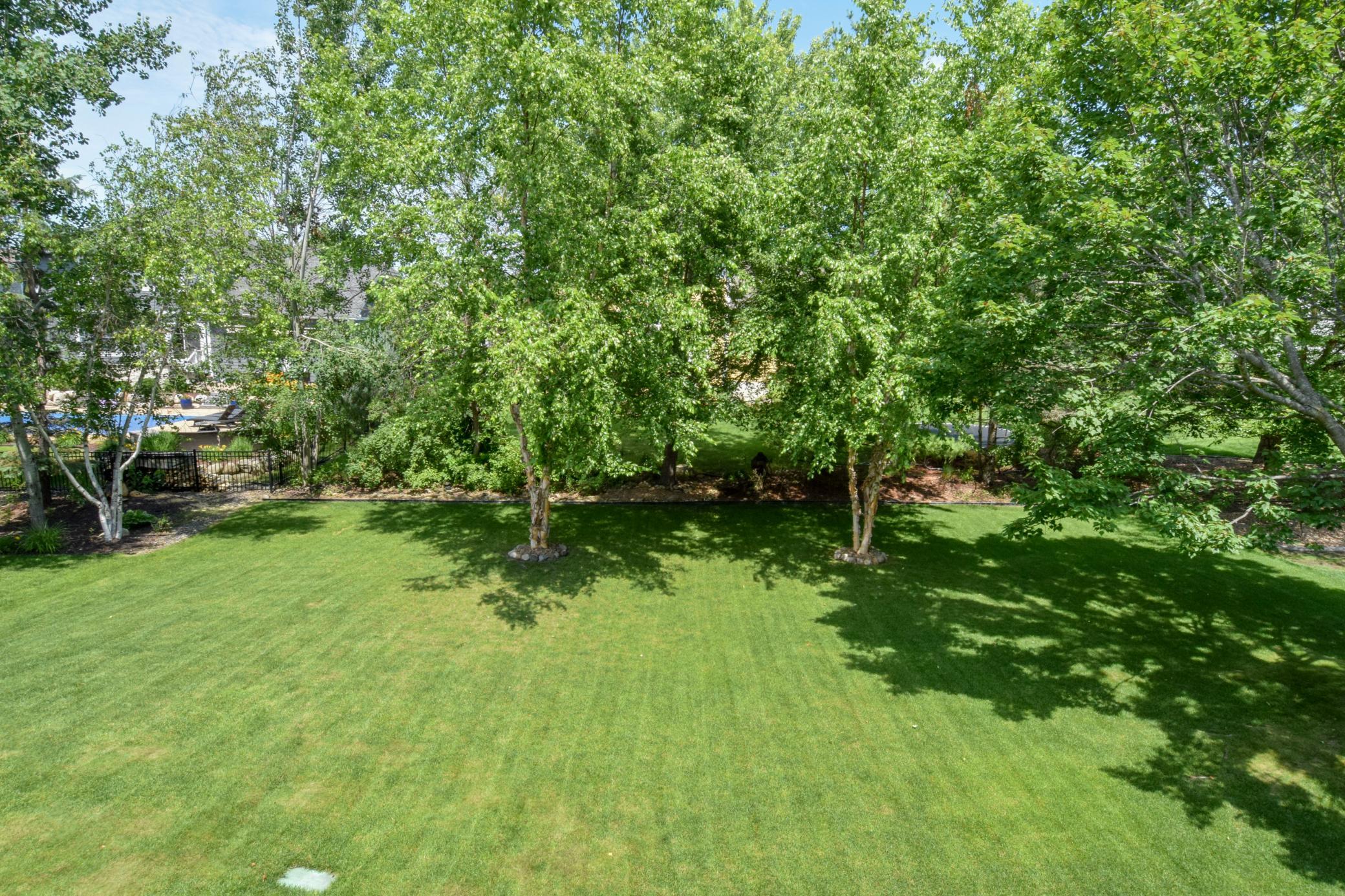 11315 Goose Lake Parkway Property Photo 44