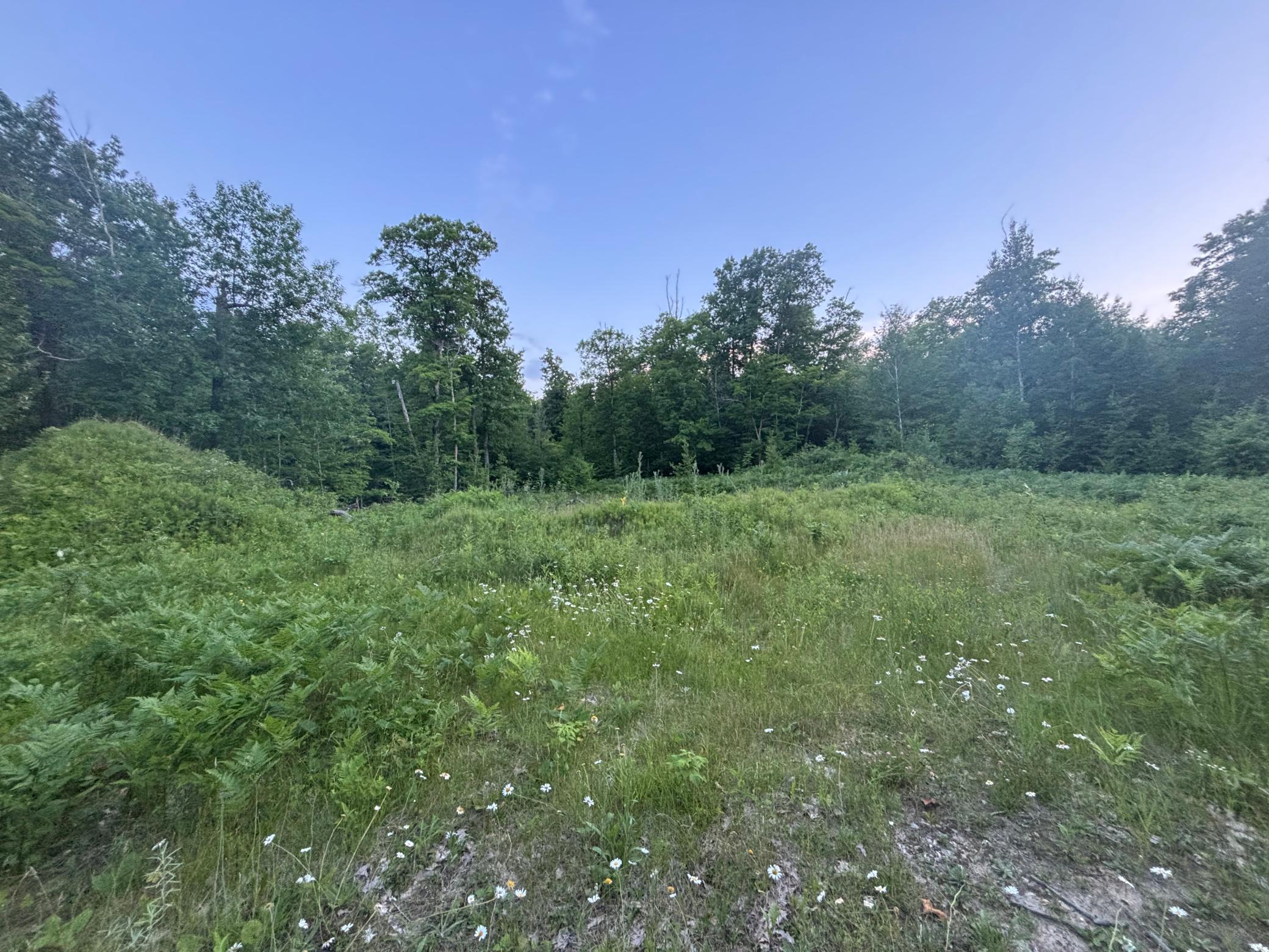 39987 Cass Line Road Property Photo 1