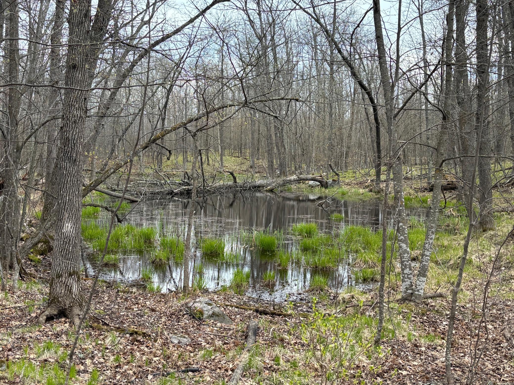 39987 Cass Line Road Property Photo 3
