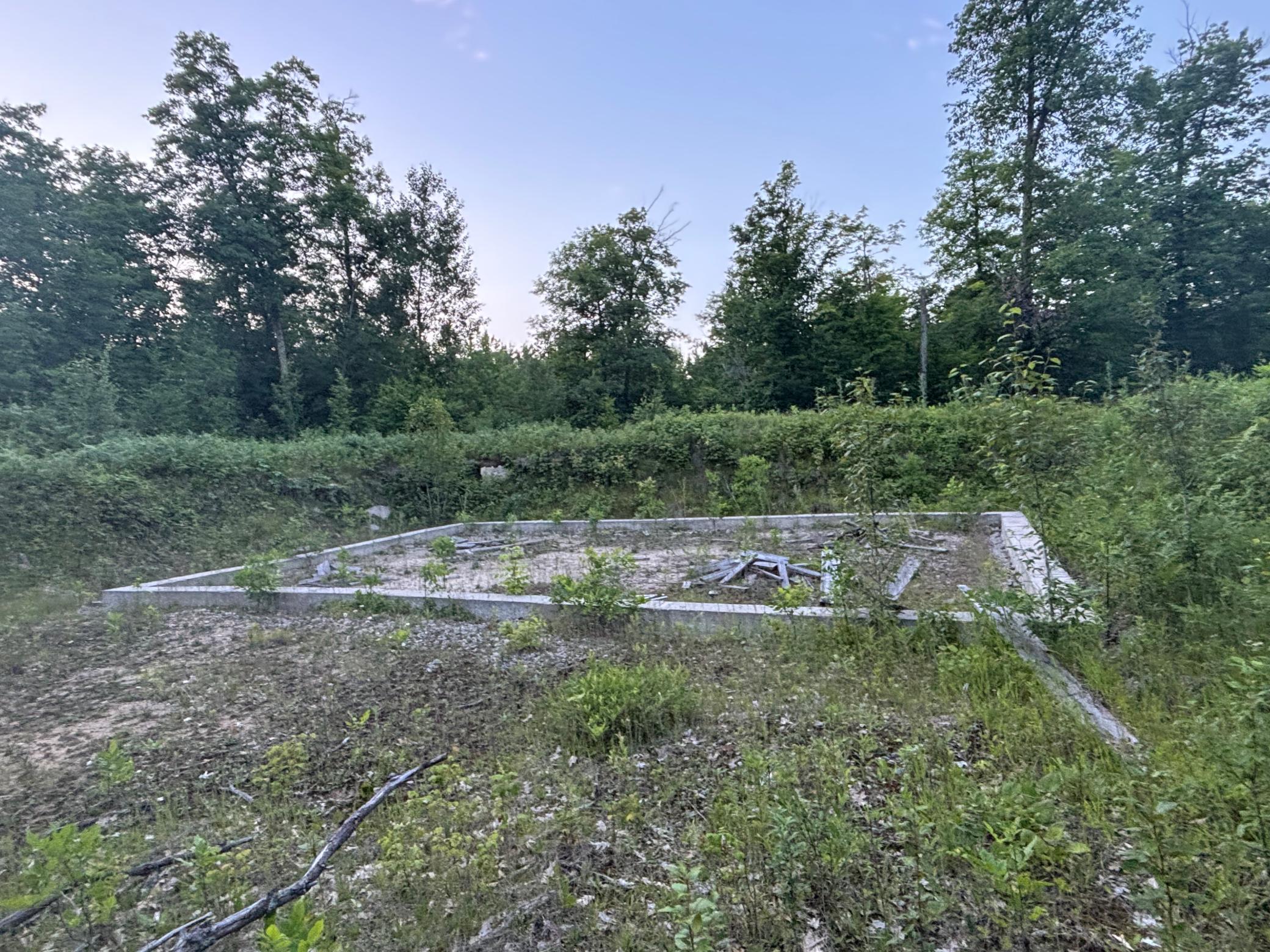 39987 Cass Line Road Property Photo 4