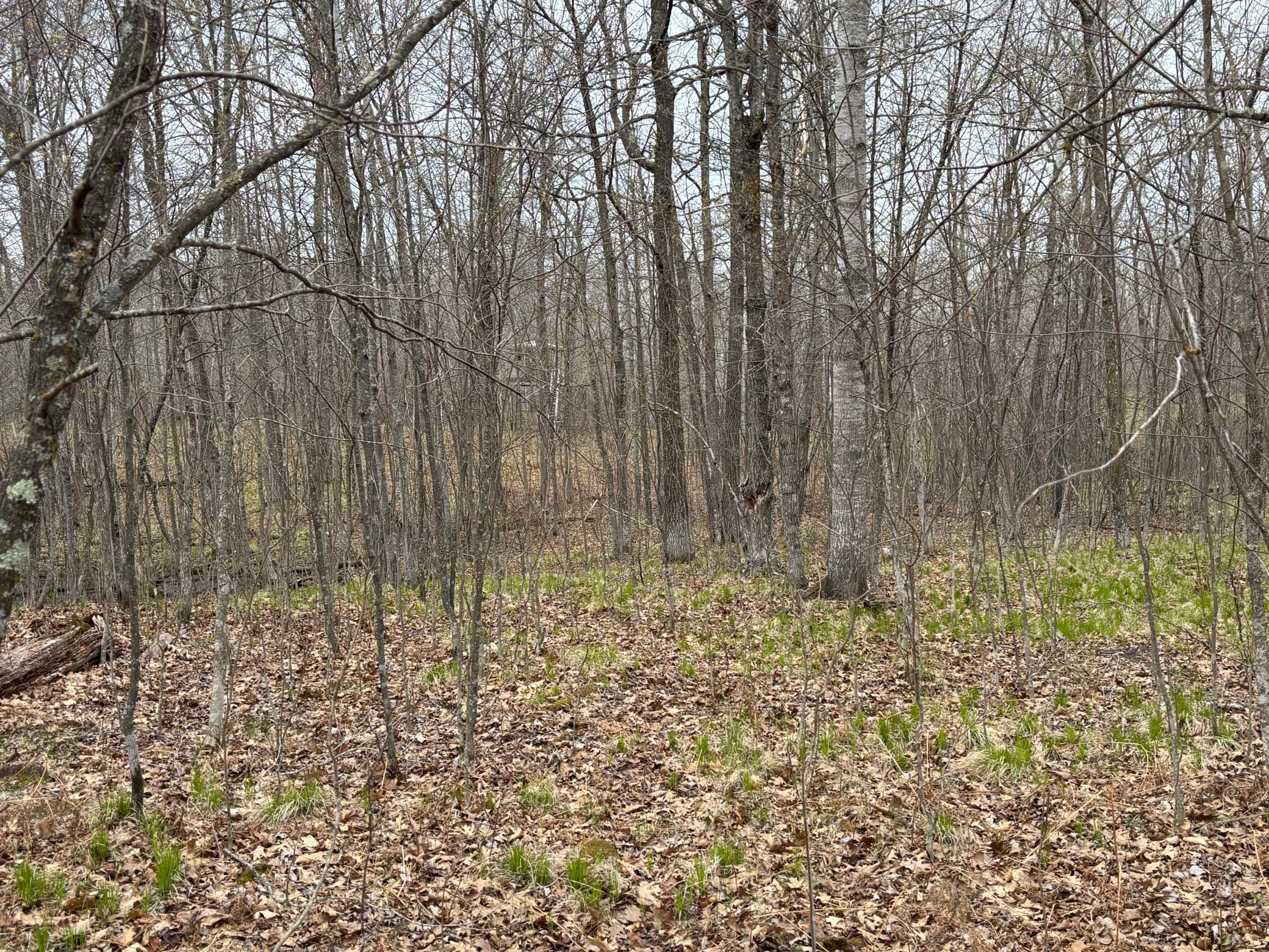 39987 Cass Line Road Property Photo 7