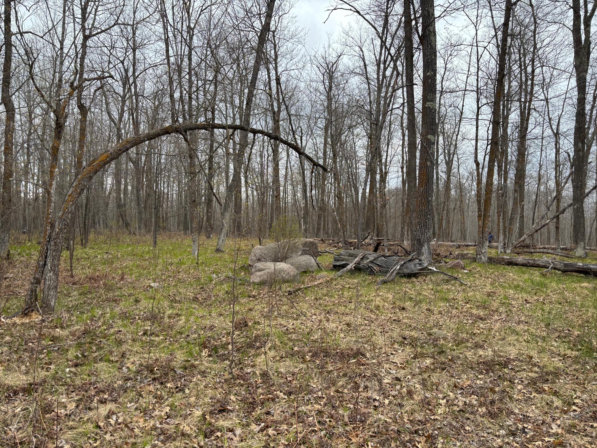39987 Cass Line Road Property Photo 9