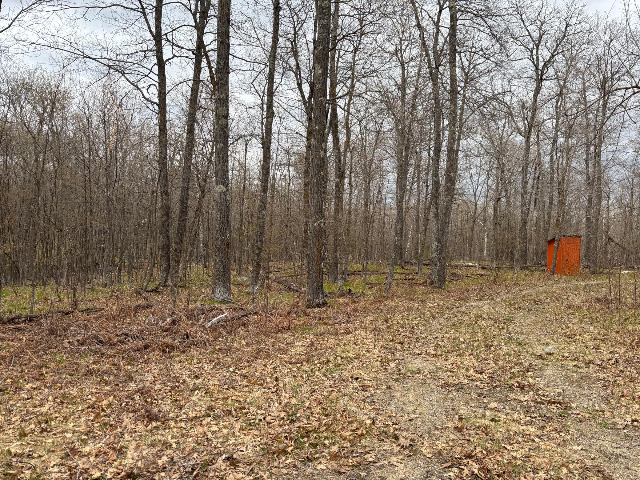 39987 Cass Line Road Property Photo 11