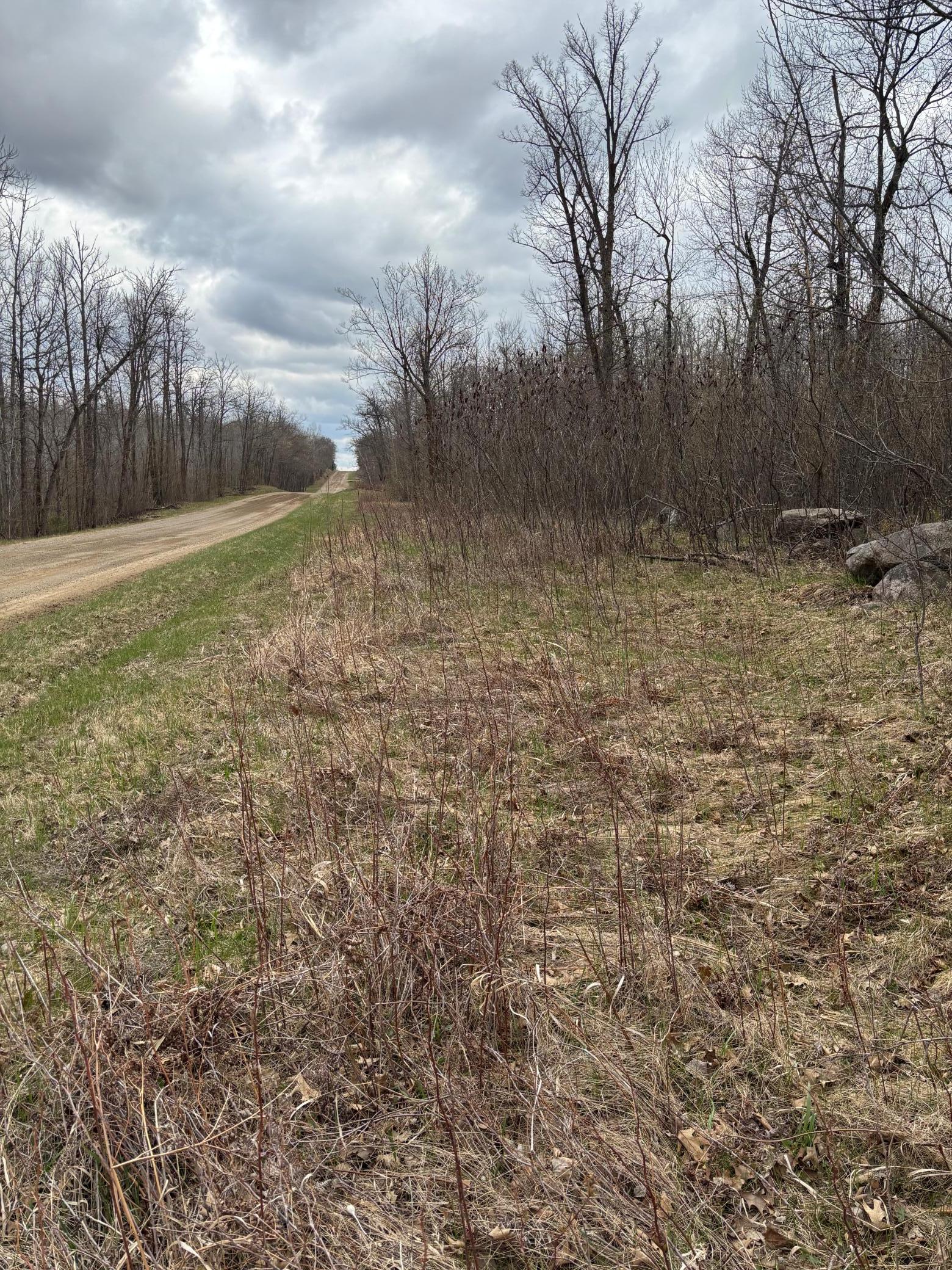 39987 Cass Line Road Property Photo 12