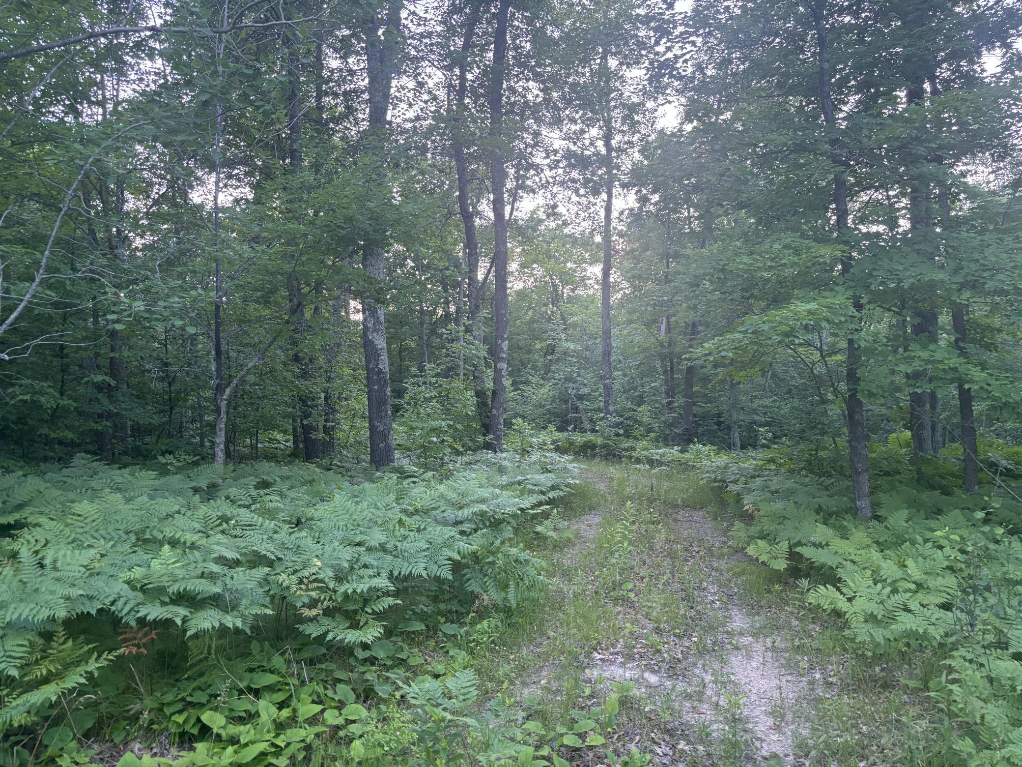 39987 Cass Line Road Property Photo 13