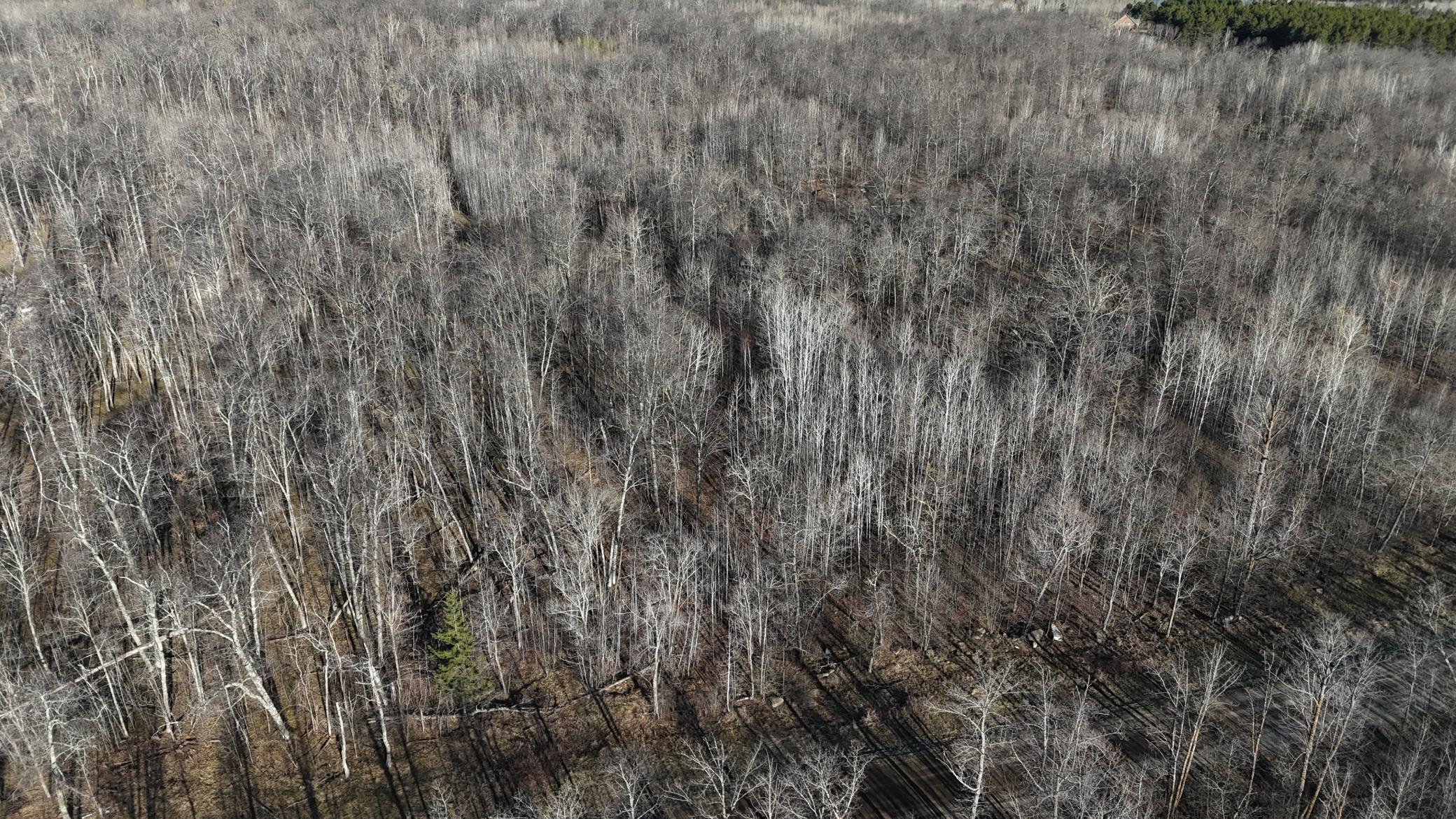 39987 Cass Line Road Property Photo 14