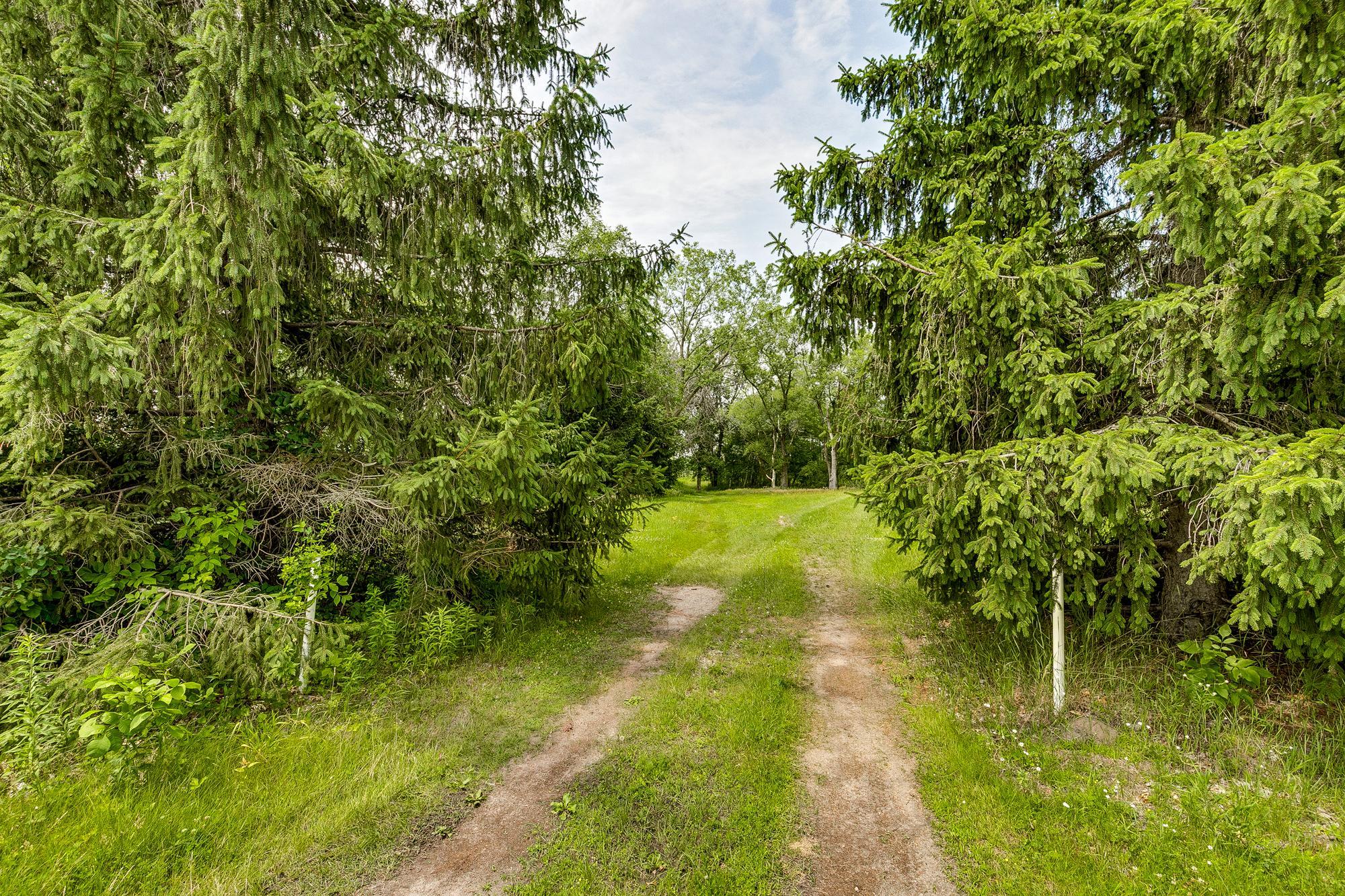 5715 Hodgson Road Property Photo 3
