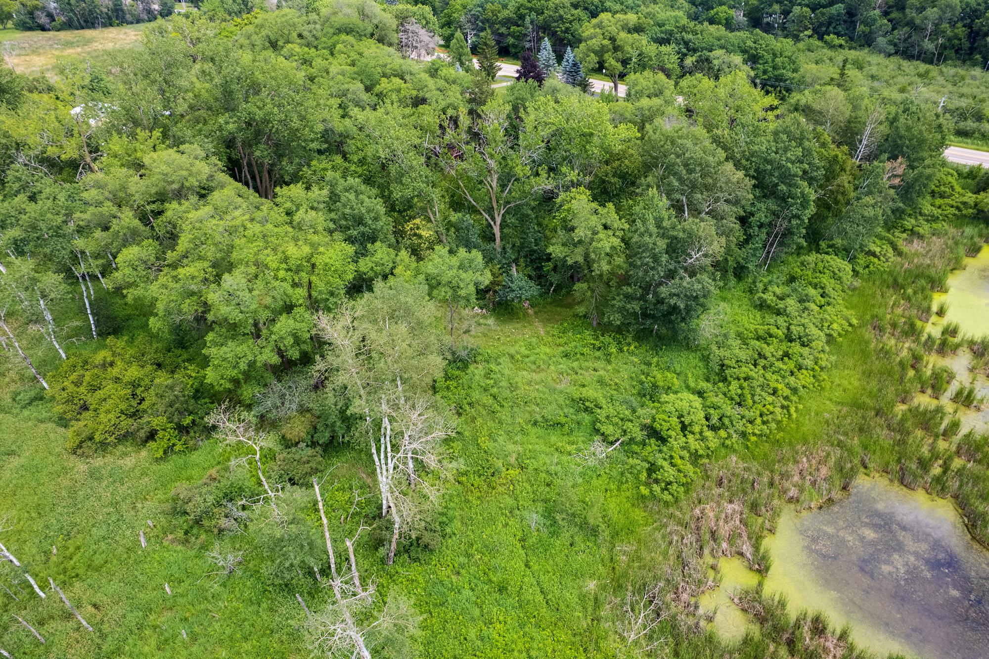 5715 Hodgson Road Property Photo 12