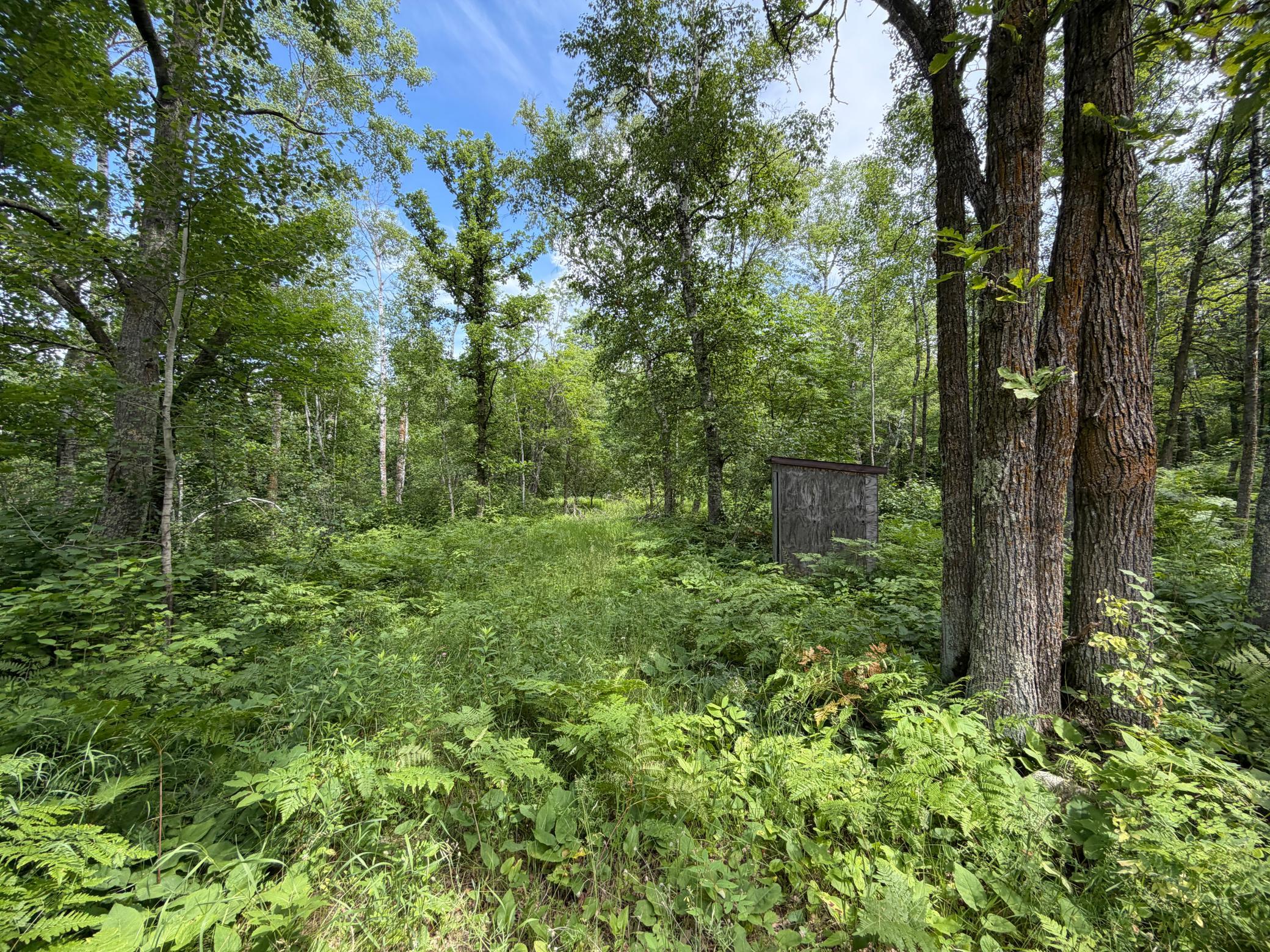 Tbd County 95 Property Photo 1