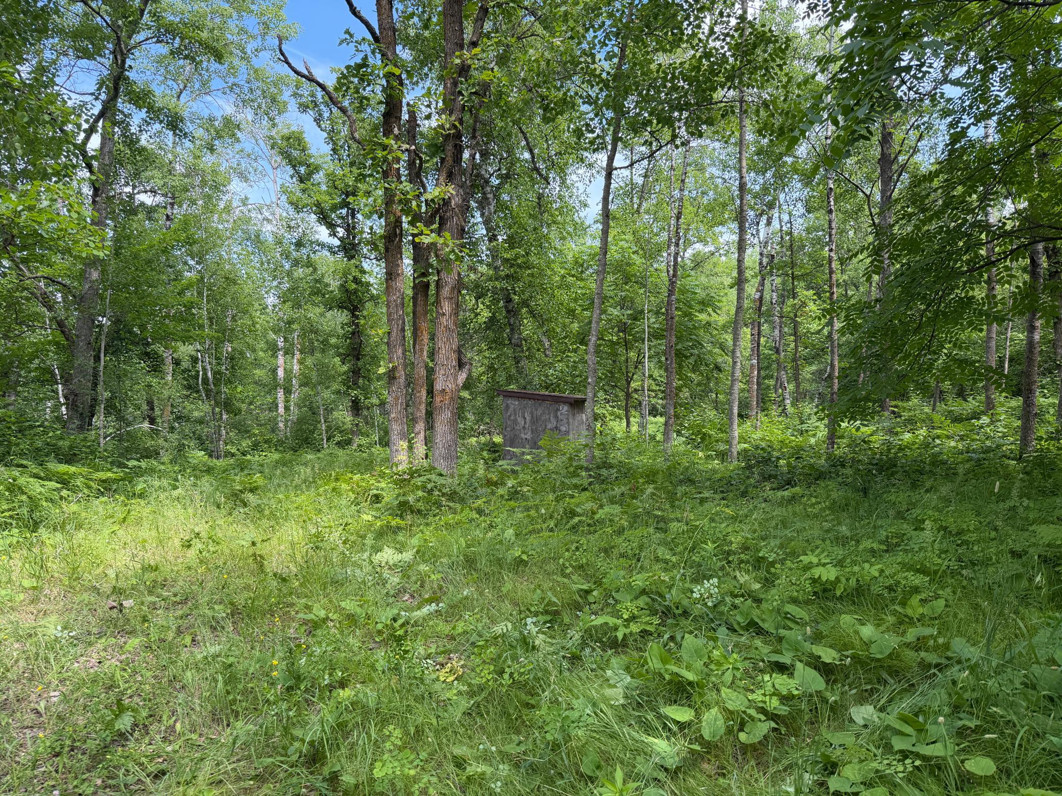 Tbd County 95 Property Photo 2