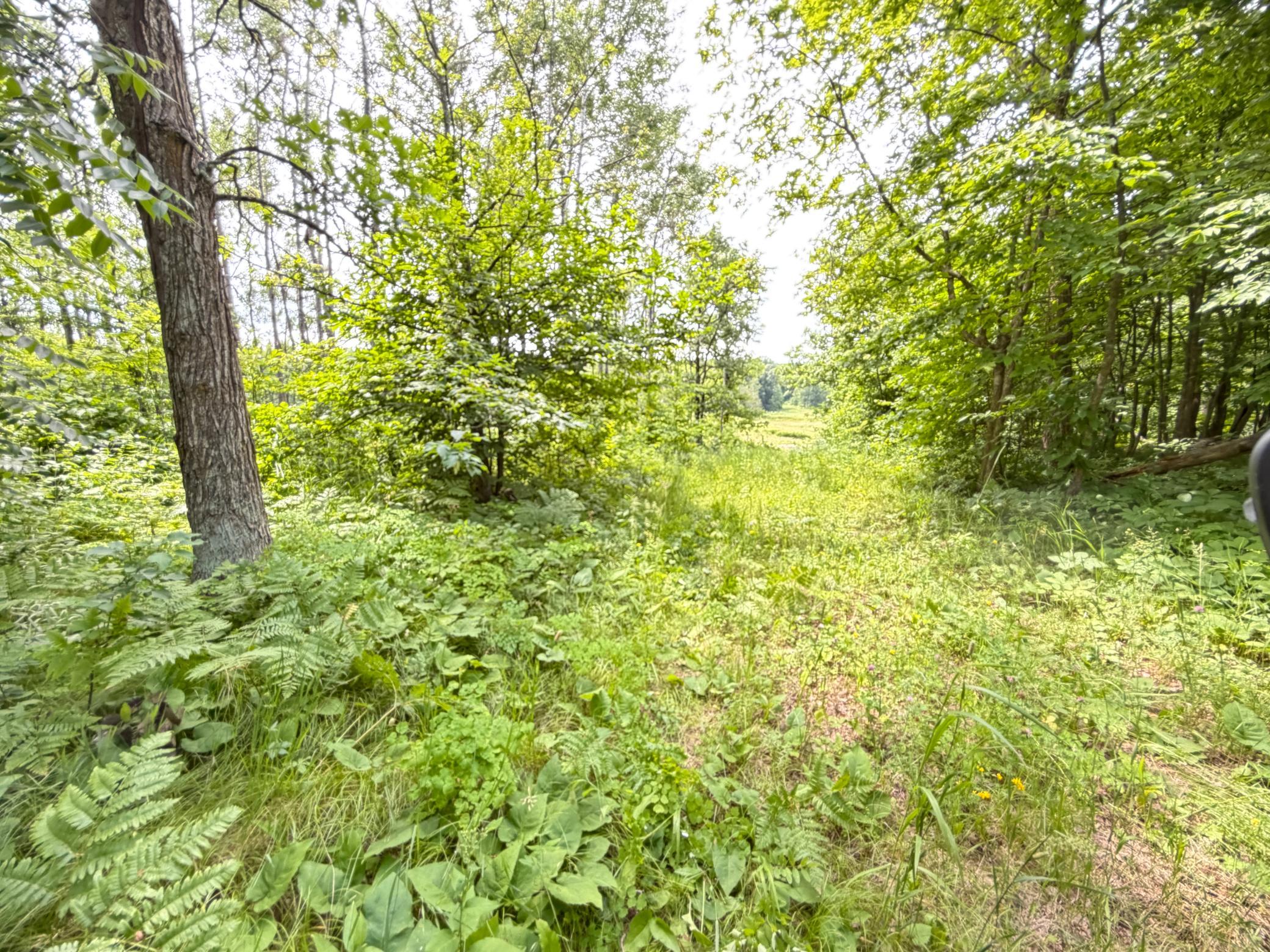 Tbd County 95 Property Photo 3