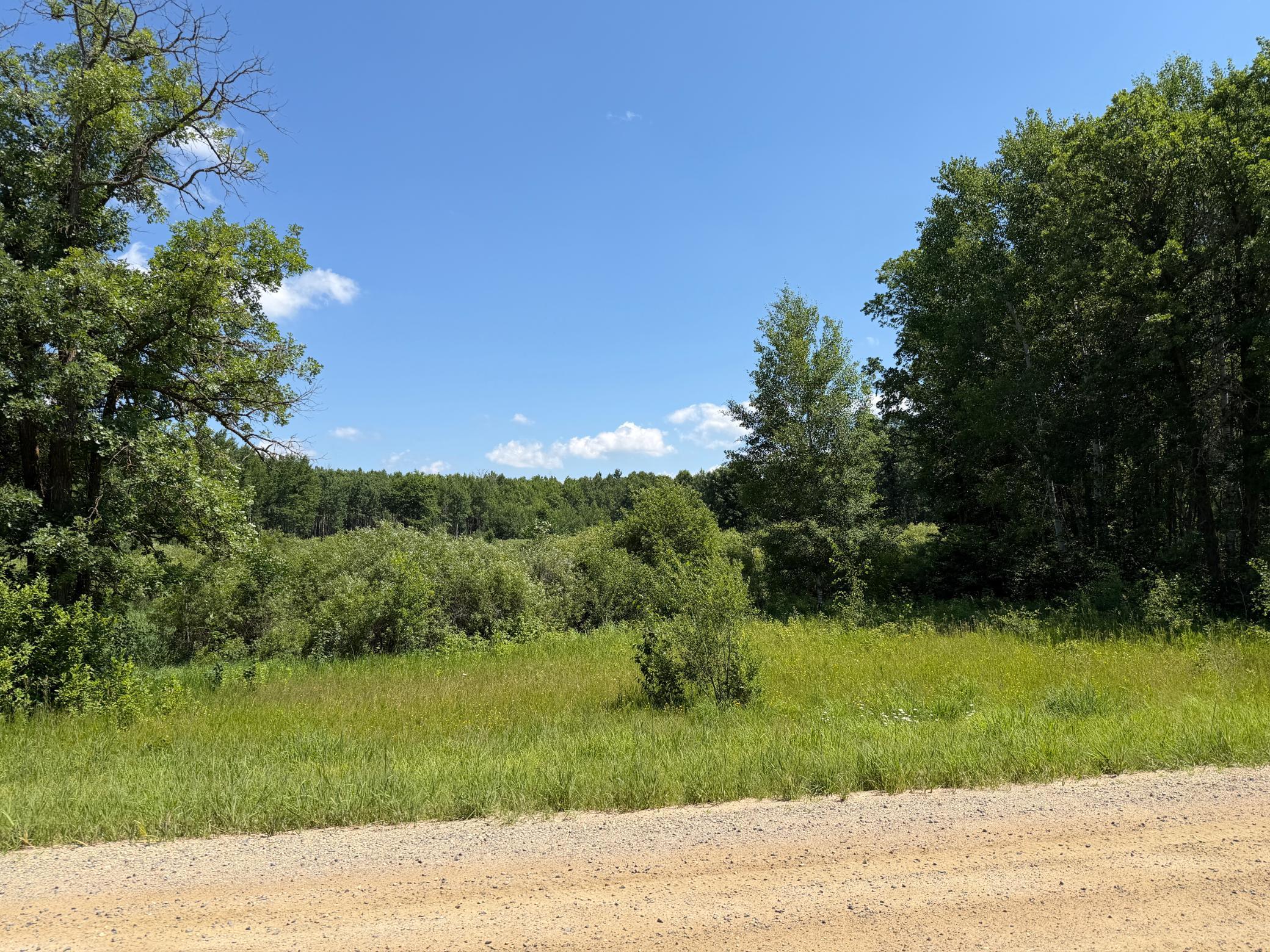 Tbd County 95 Property Photo 6