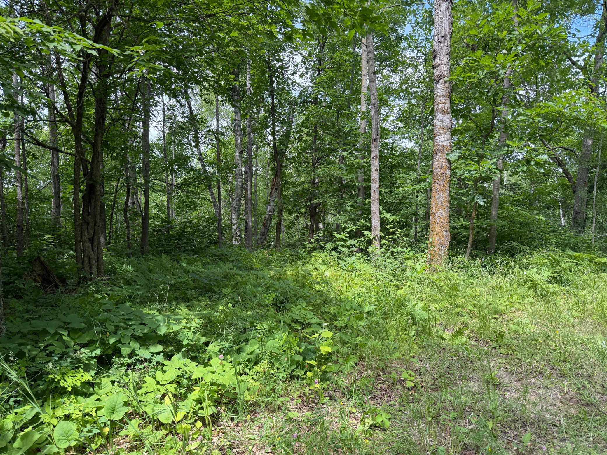 Tbd County 95 Property Photo 15