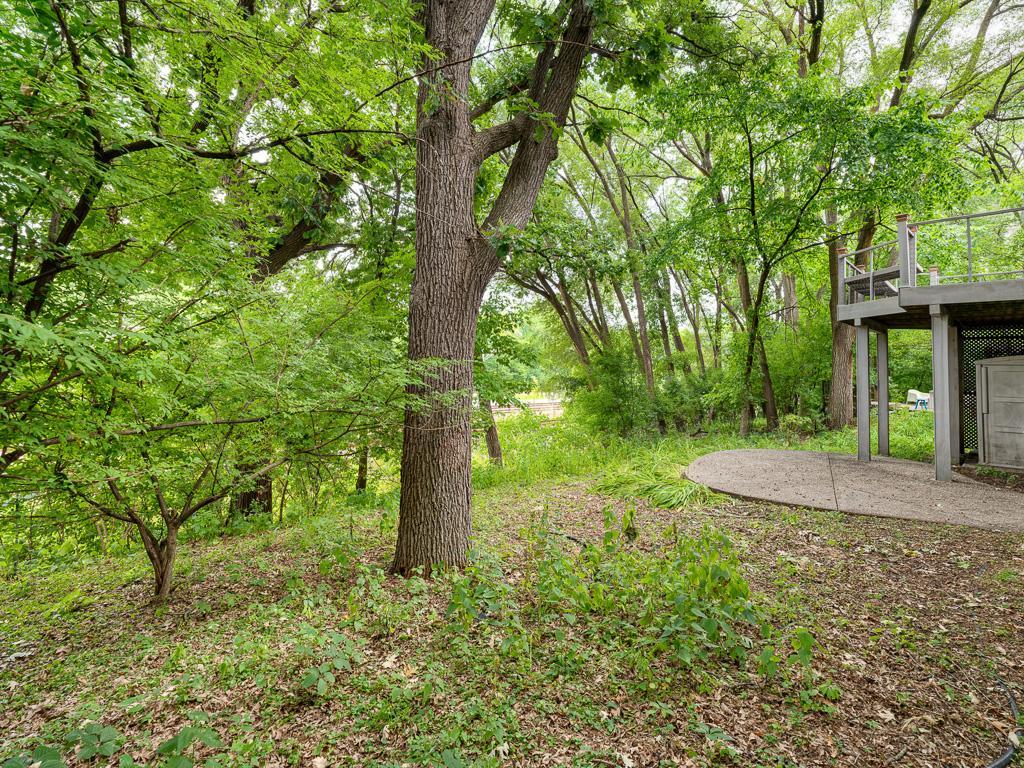 2507 Burnham Road Property Photo 34