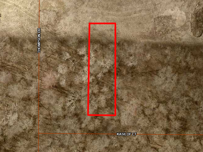 1465 Kasilof Court Property Photo 57