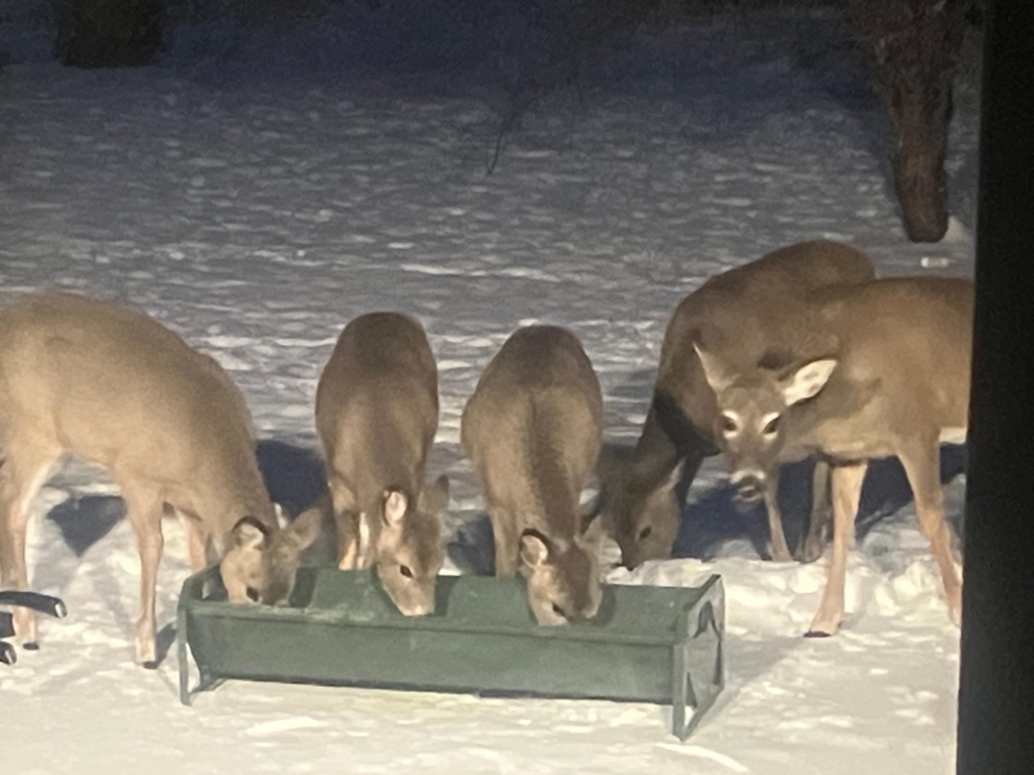 6409 County Road 17 S Property Photo 79