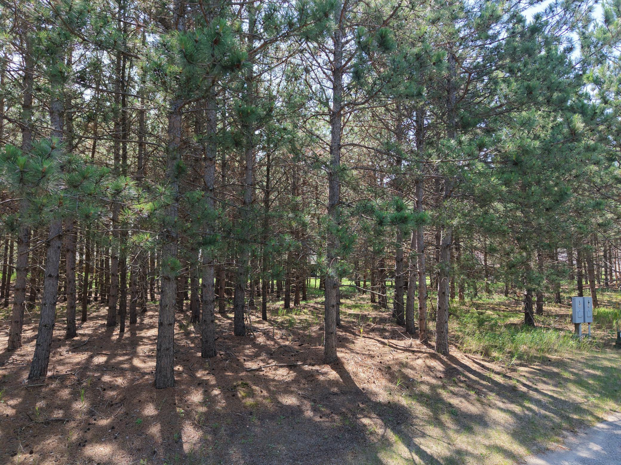 1115 Sunset, Unit 27 Loop Property Photo 1