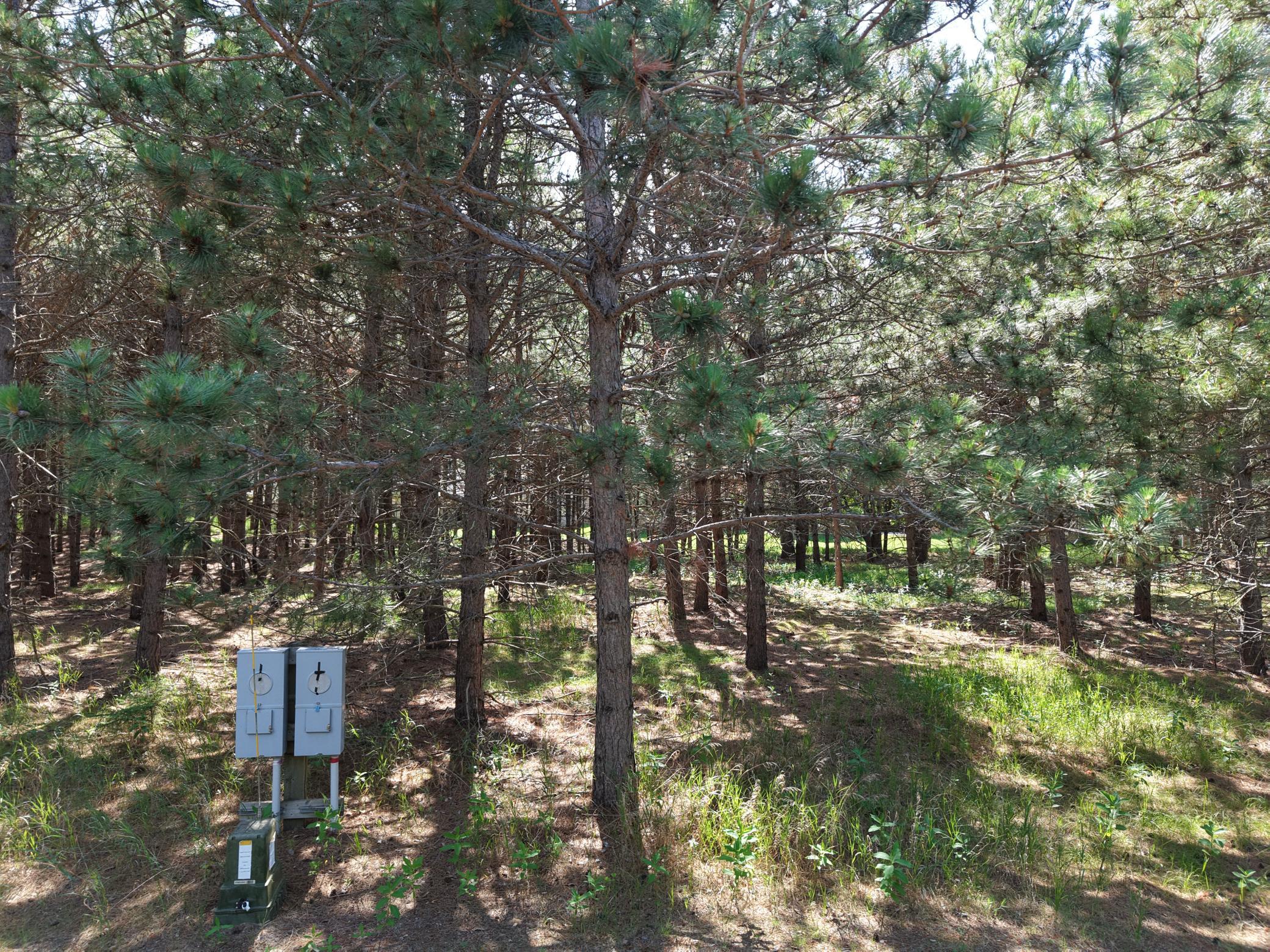 1115 Sunset, Unit 32 Loop Property Photo 1