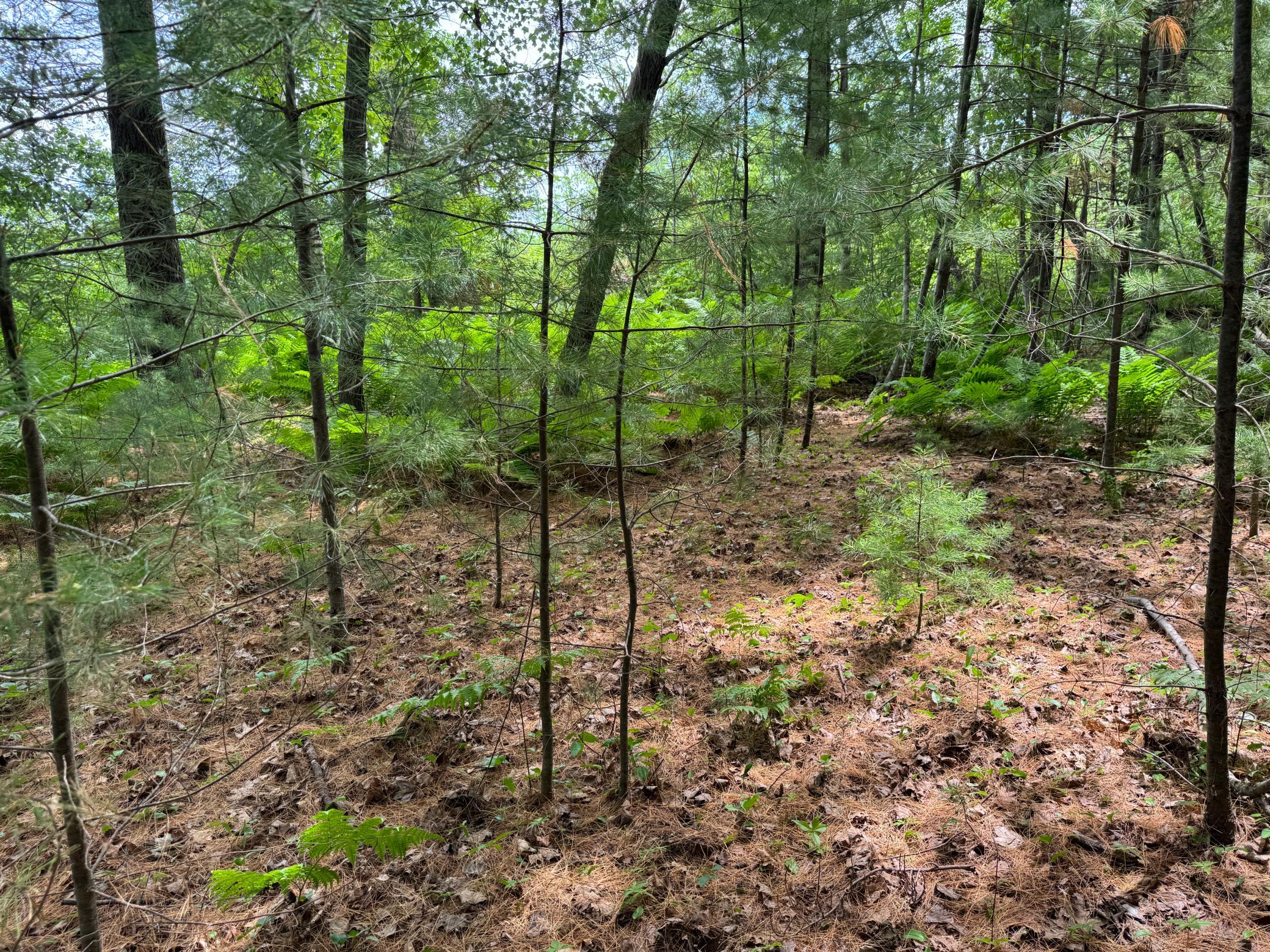 Tbd Garden Dr Property Photo 5