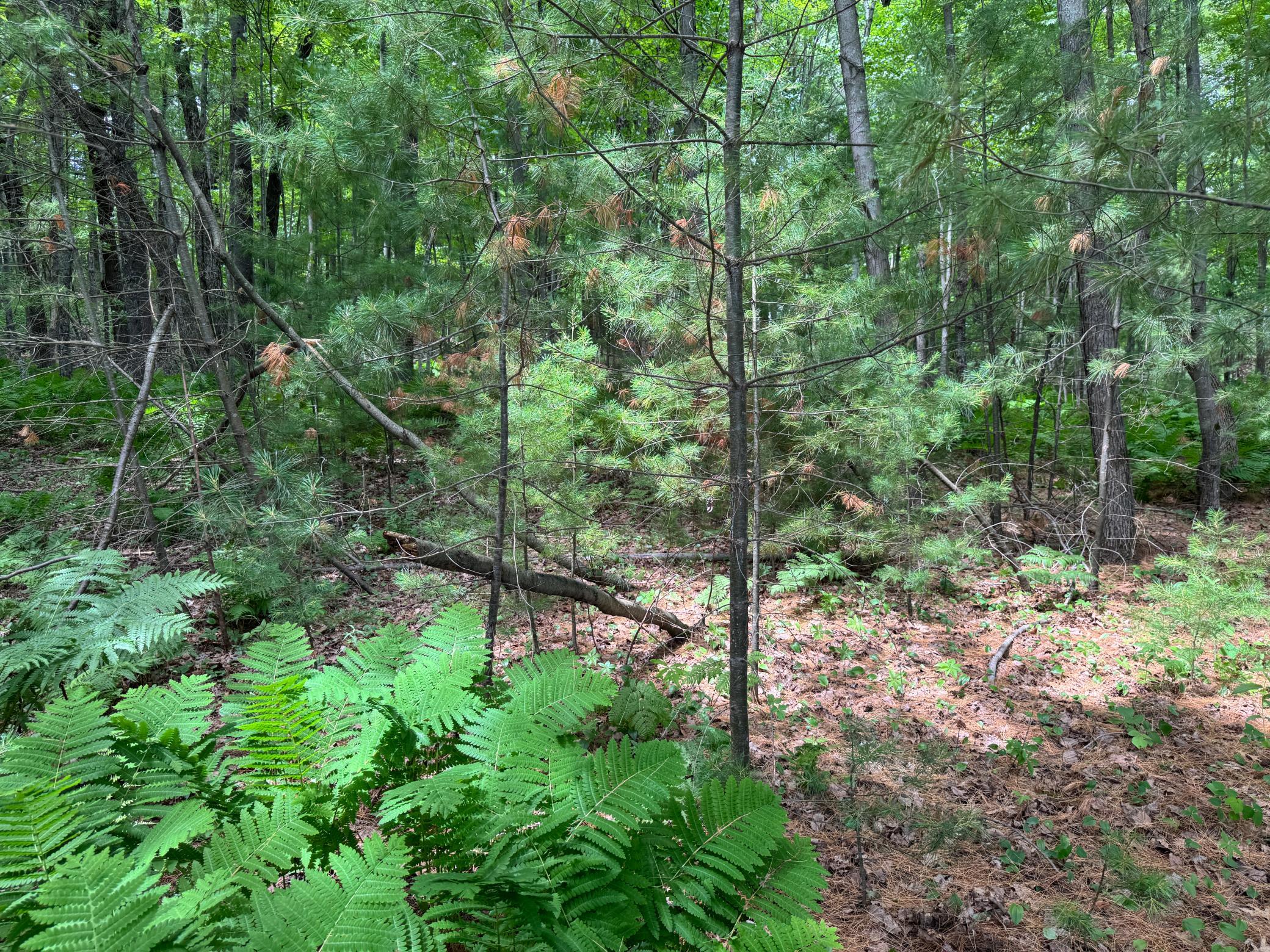 Tbd Garden Dr Property Photo 6
