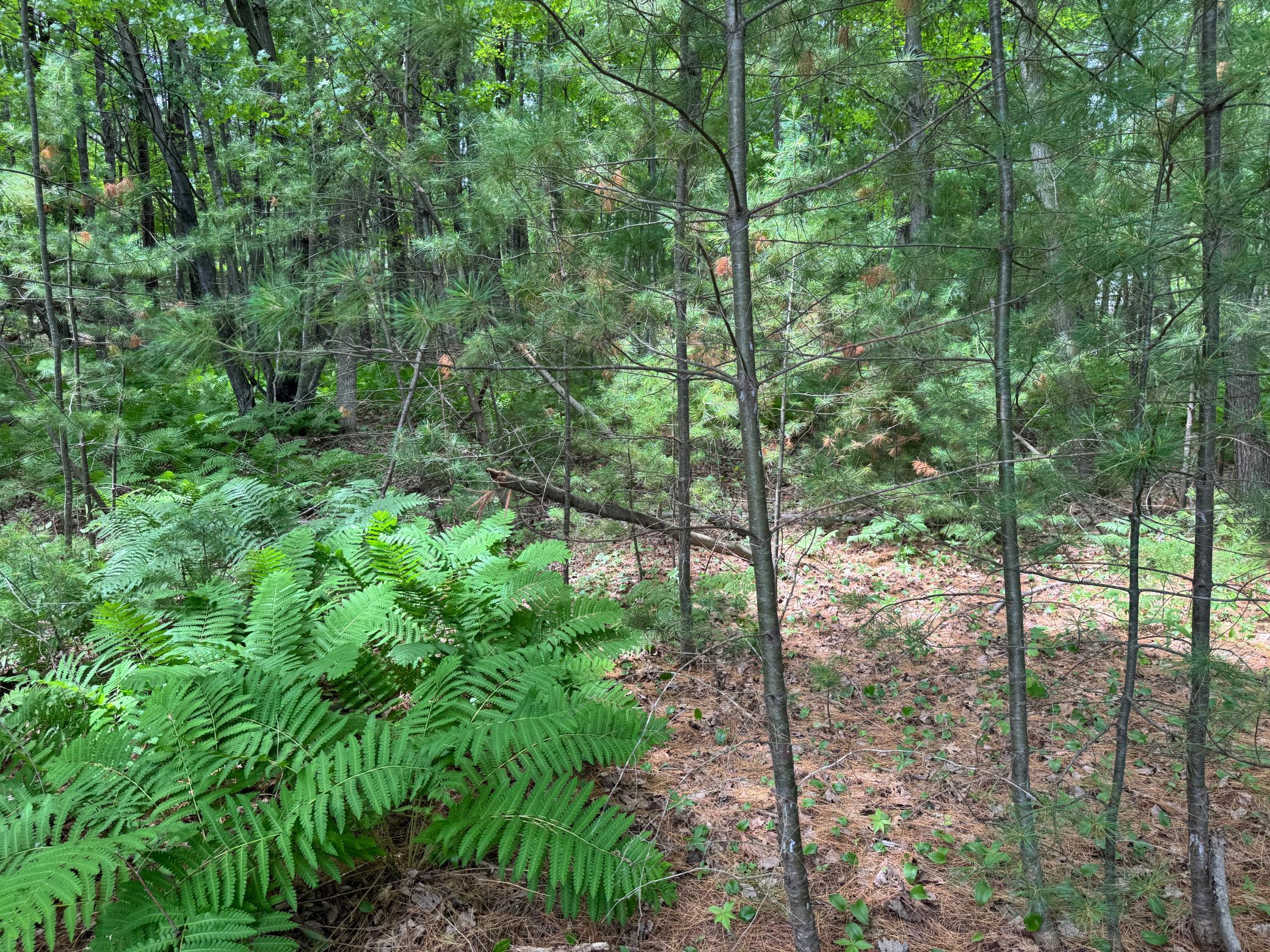 Tbd Garden Dr Property Photo 7