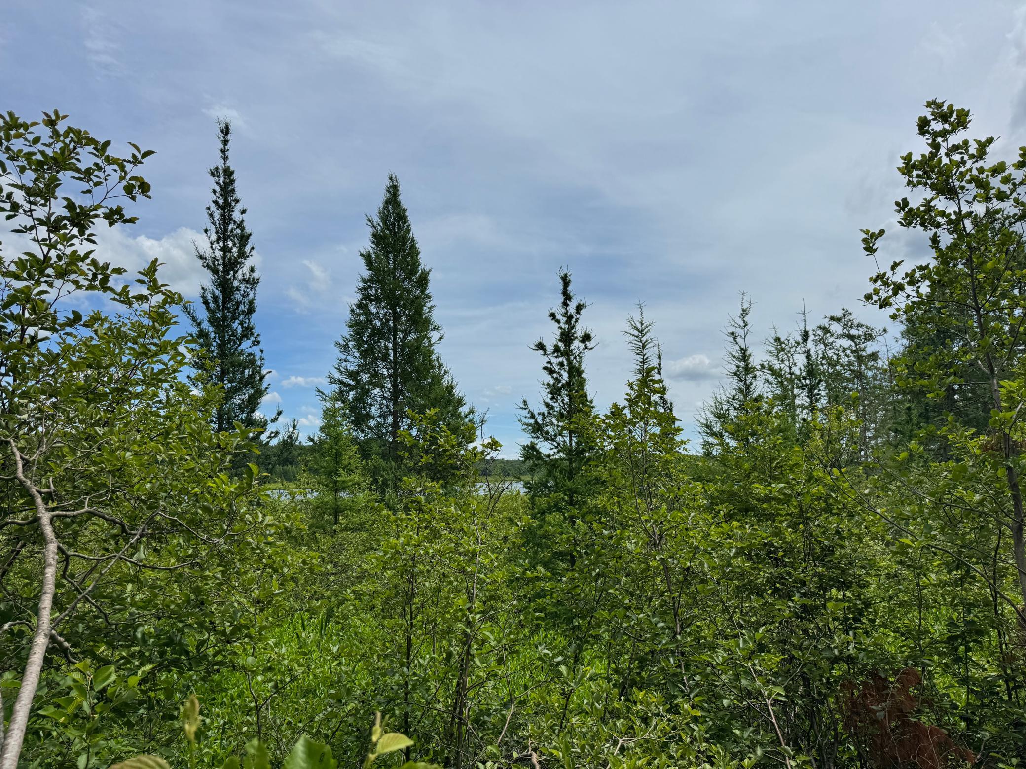 Tbd Garden Dr Property Photo 10