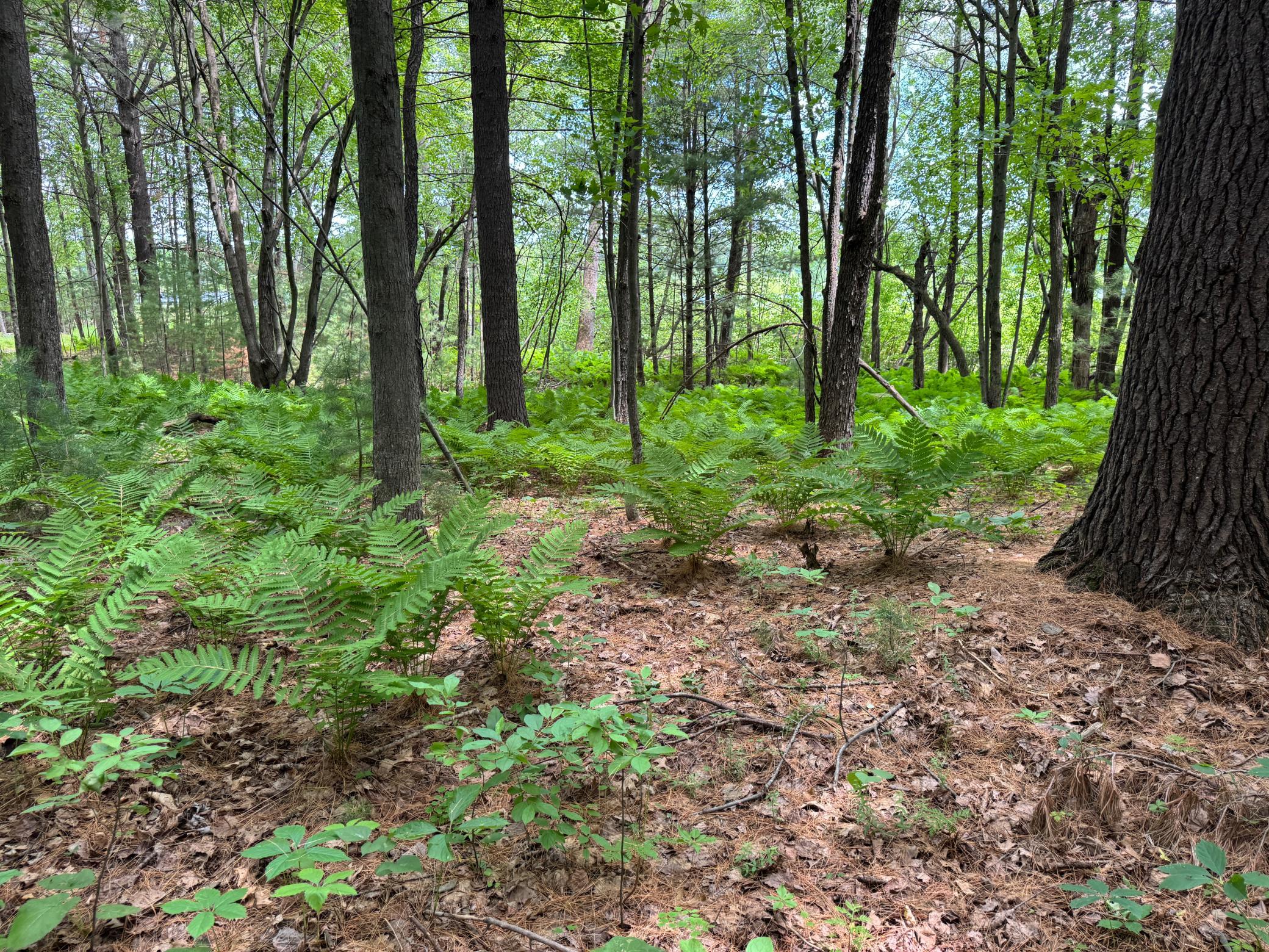Tbd Garden Dr Property Photo 12