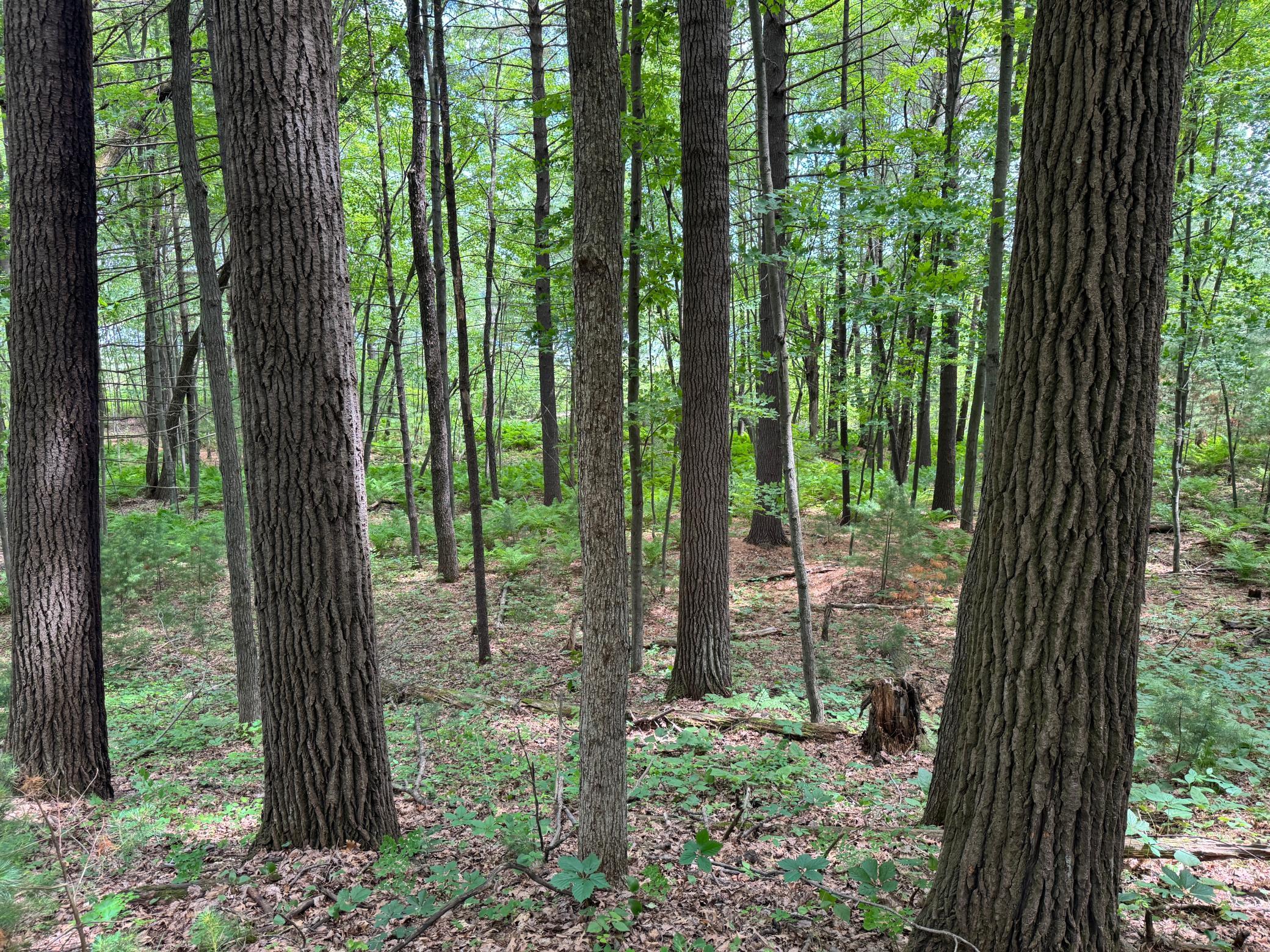 Tbd Garden Dr Property Photo 14