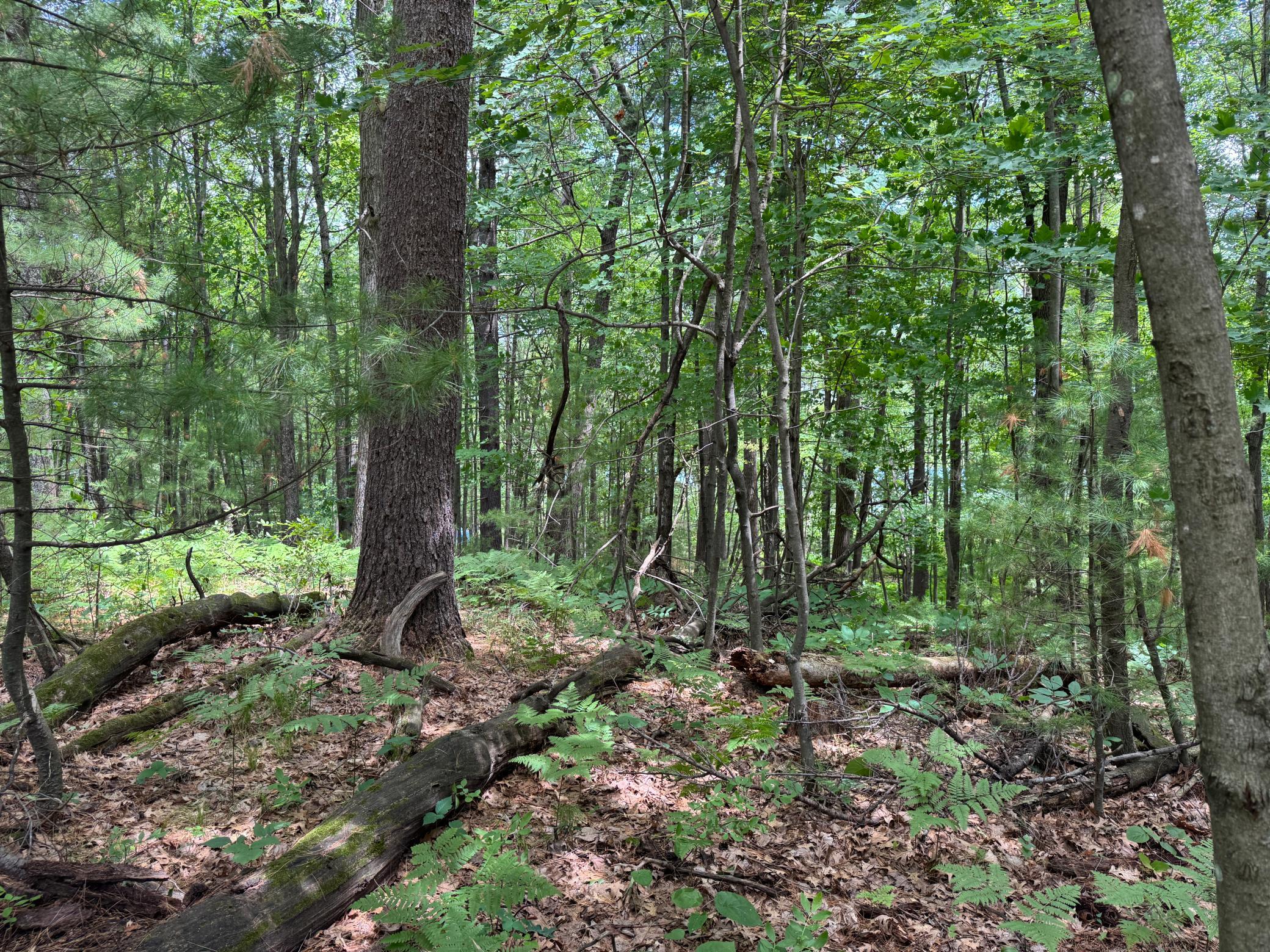Tbd Garden Dr Property Photo 17