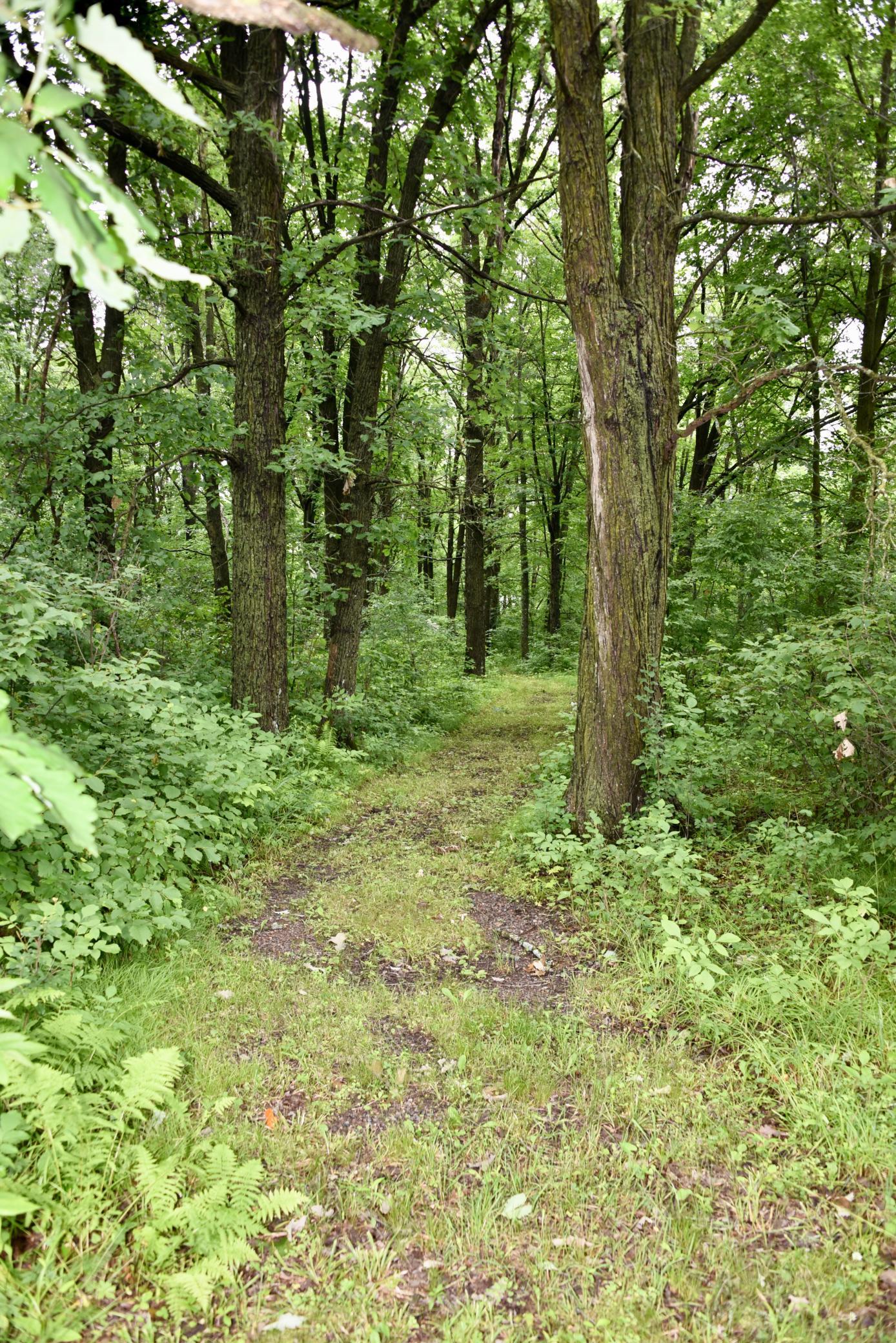 13591 230th Street Property Photo 75