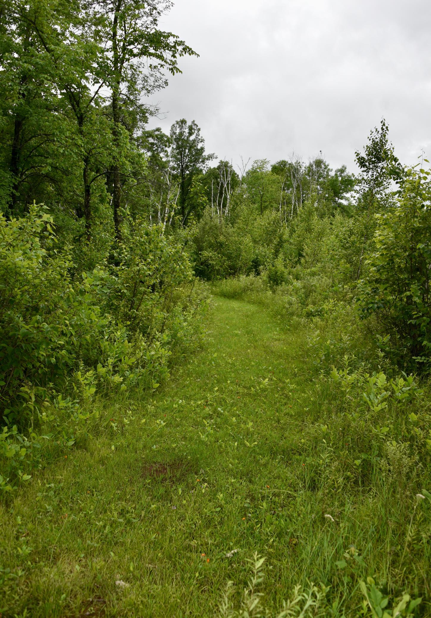 13591 230th Street Property Photo 81