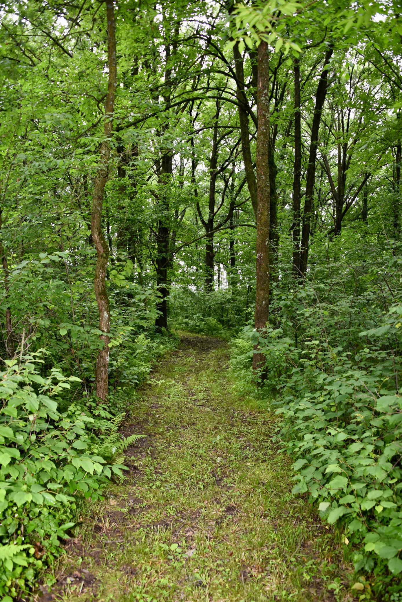 13591 230th Street Property Photo 82