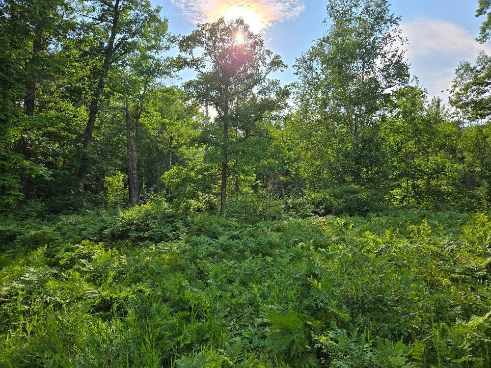 Tbd State 84 Ne Property Photo 2